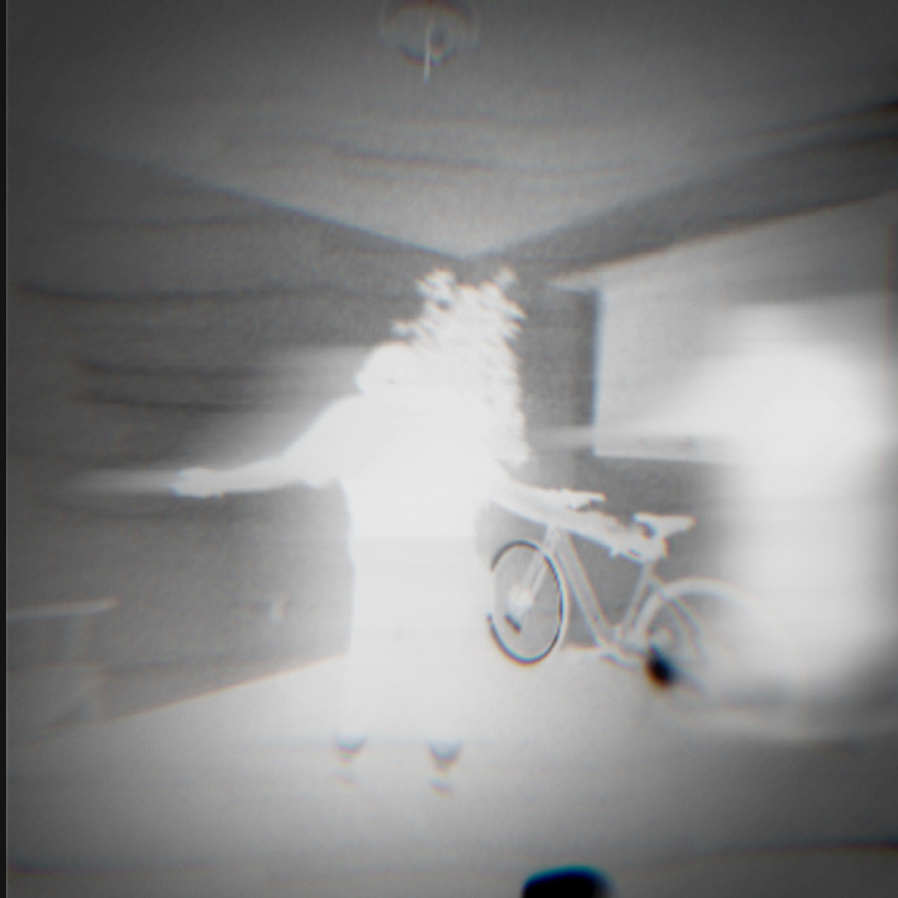 What If I Asked artwork