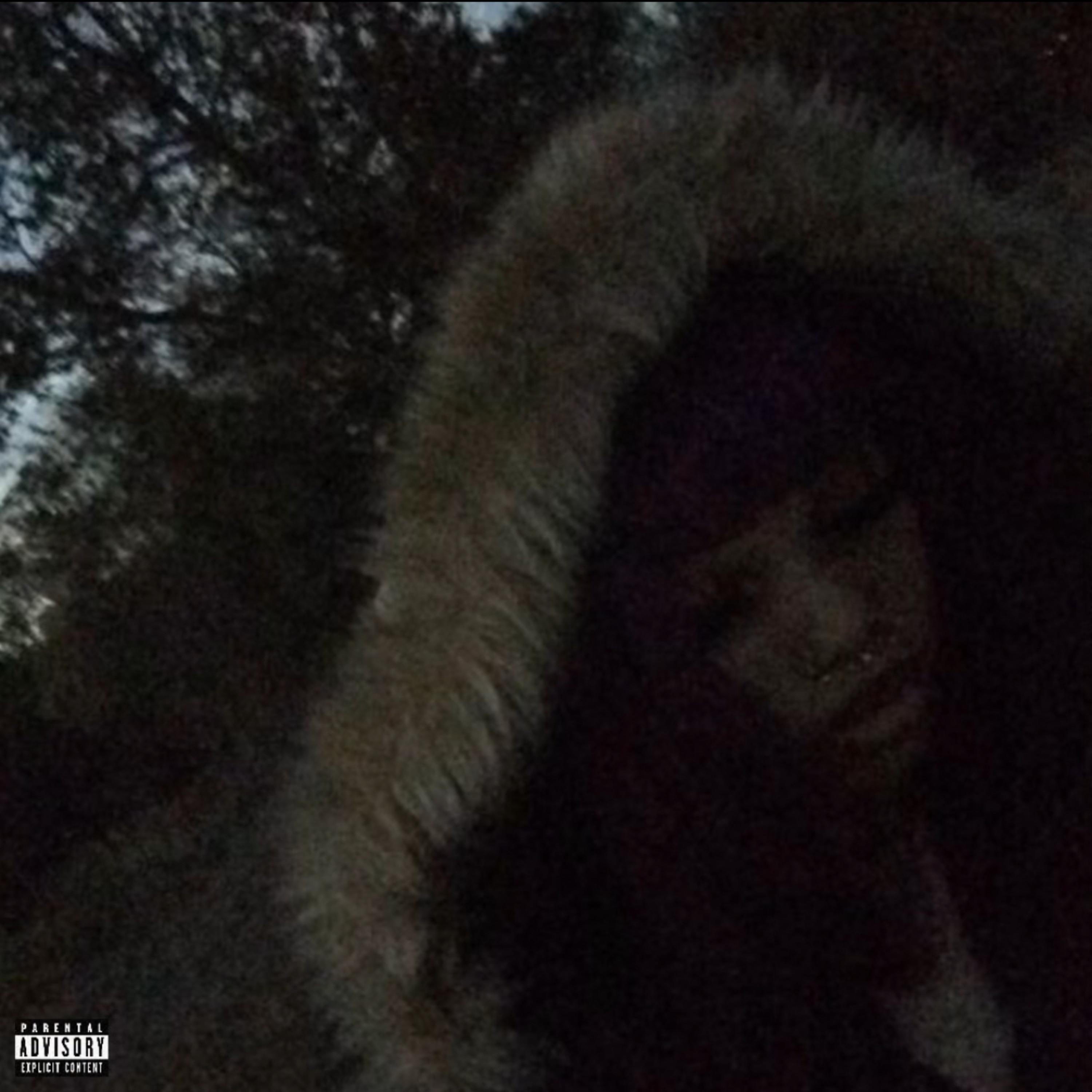 dead to me artwork