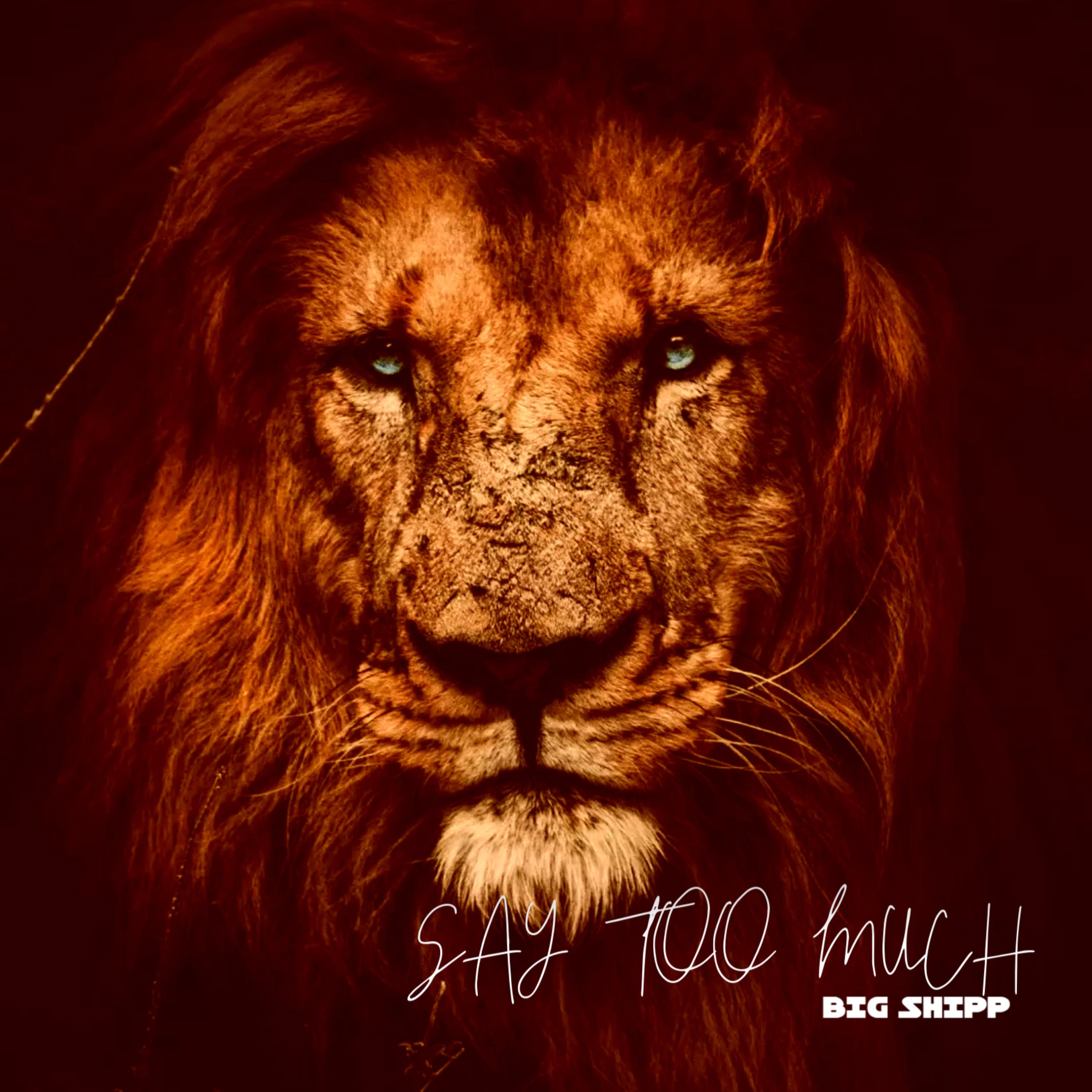 SAY TOO MUCH artwork