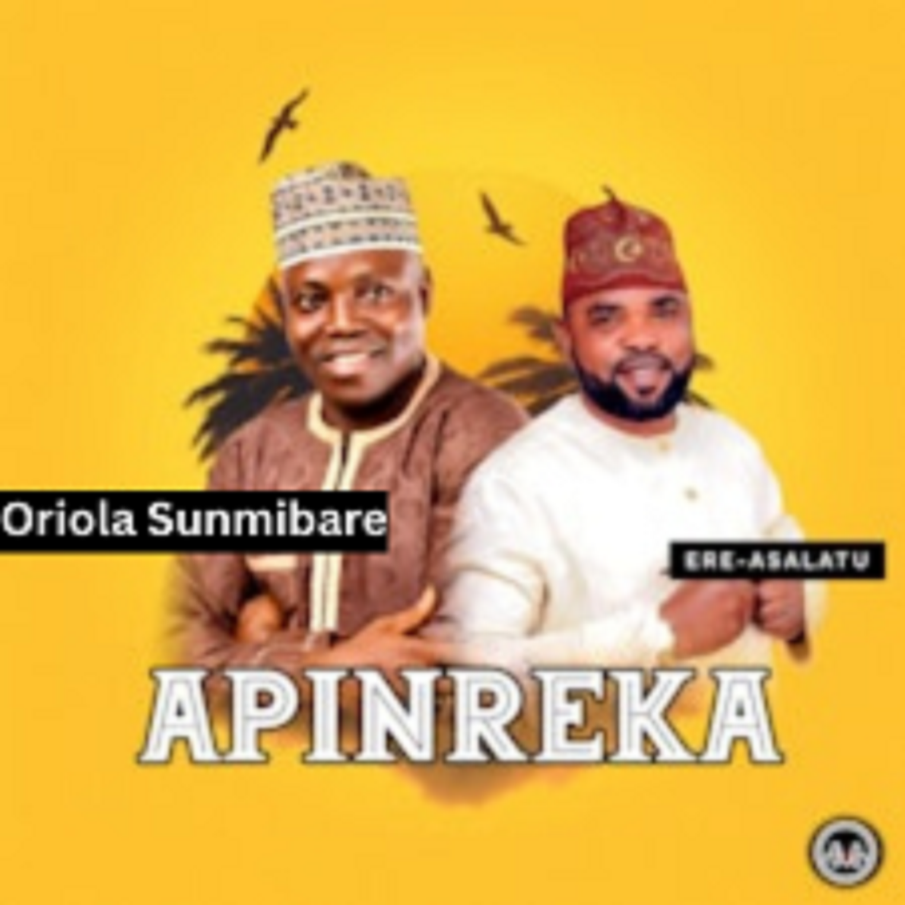 Apinreka by Oriola Sunmibare cover art