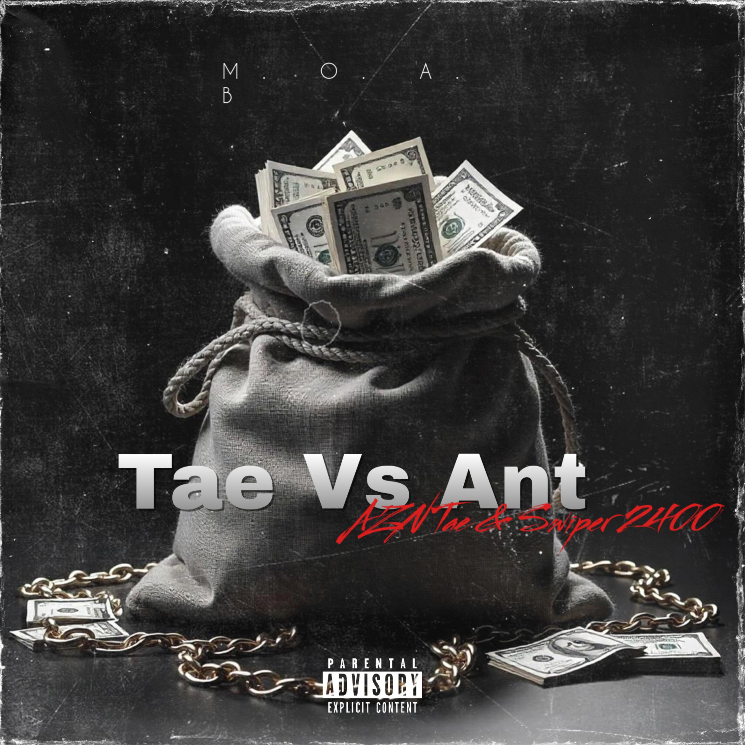 Tae Vs Ant artwork
