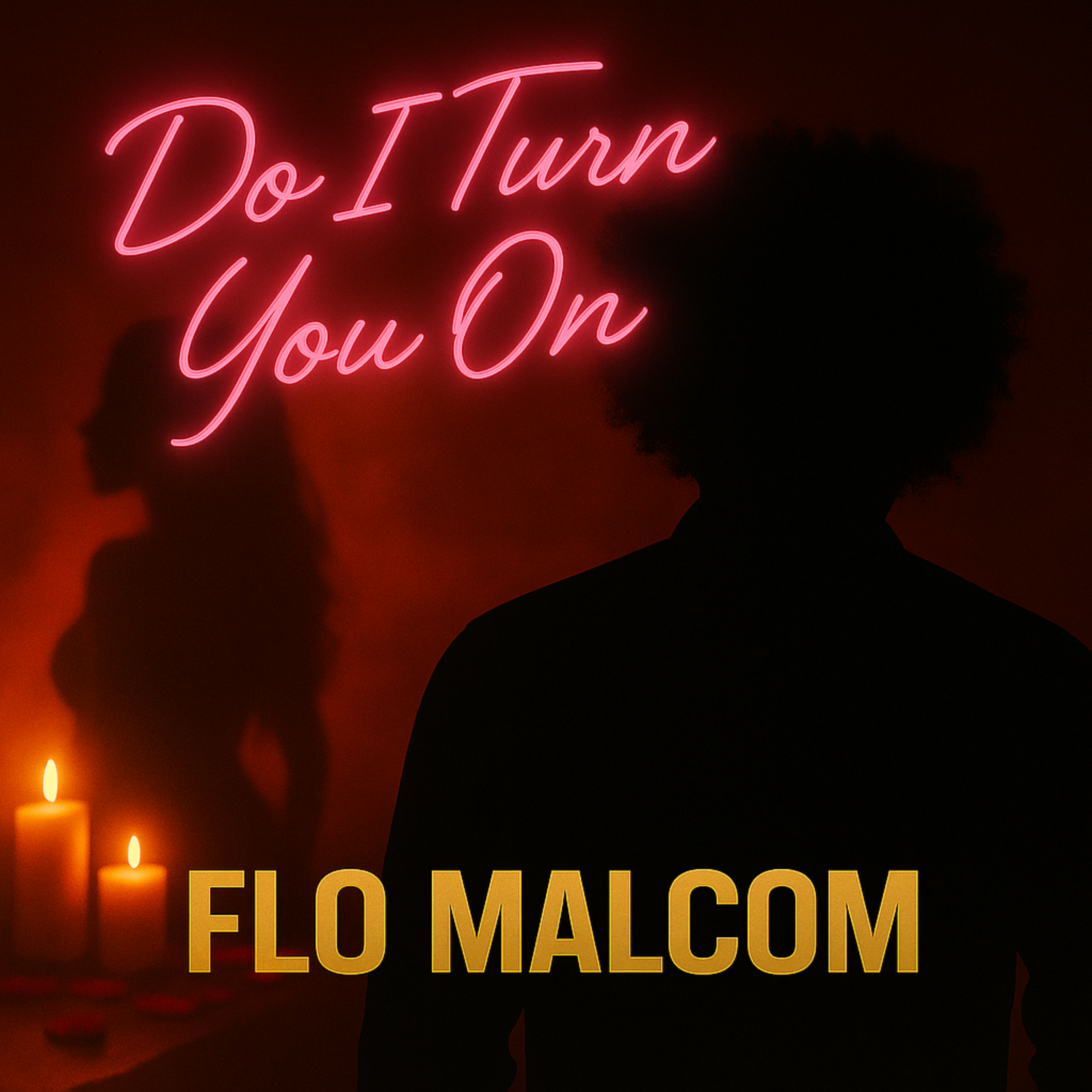 Do I Turn You On artwork