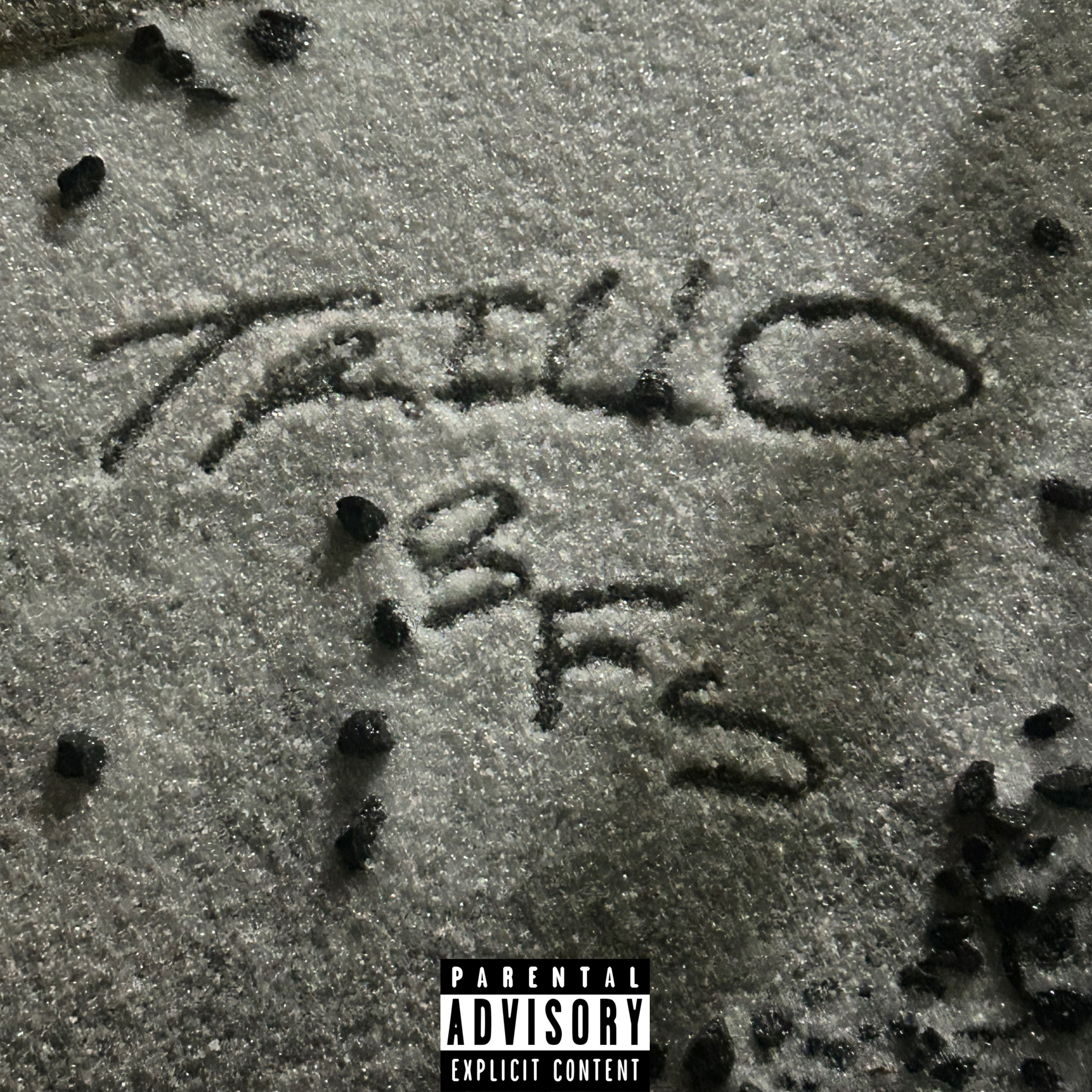 BIRDS FLY SOUTH by Trillo Jones cover art