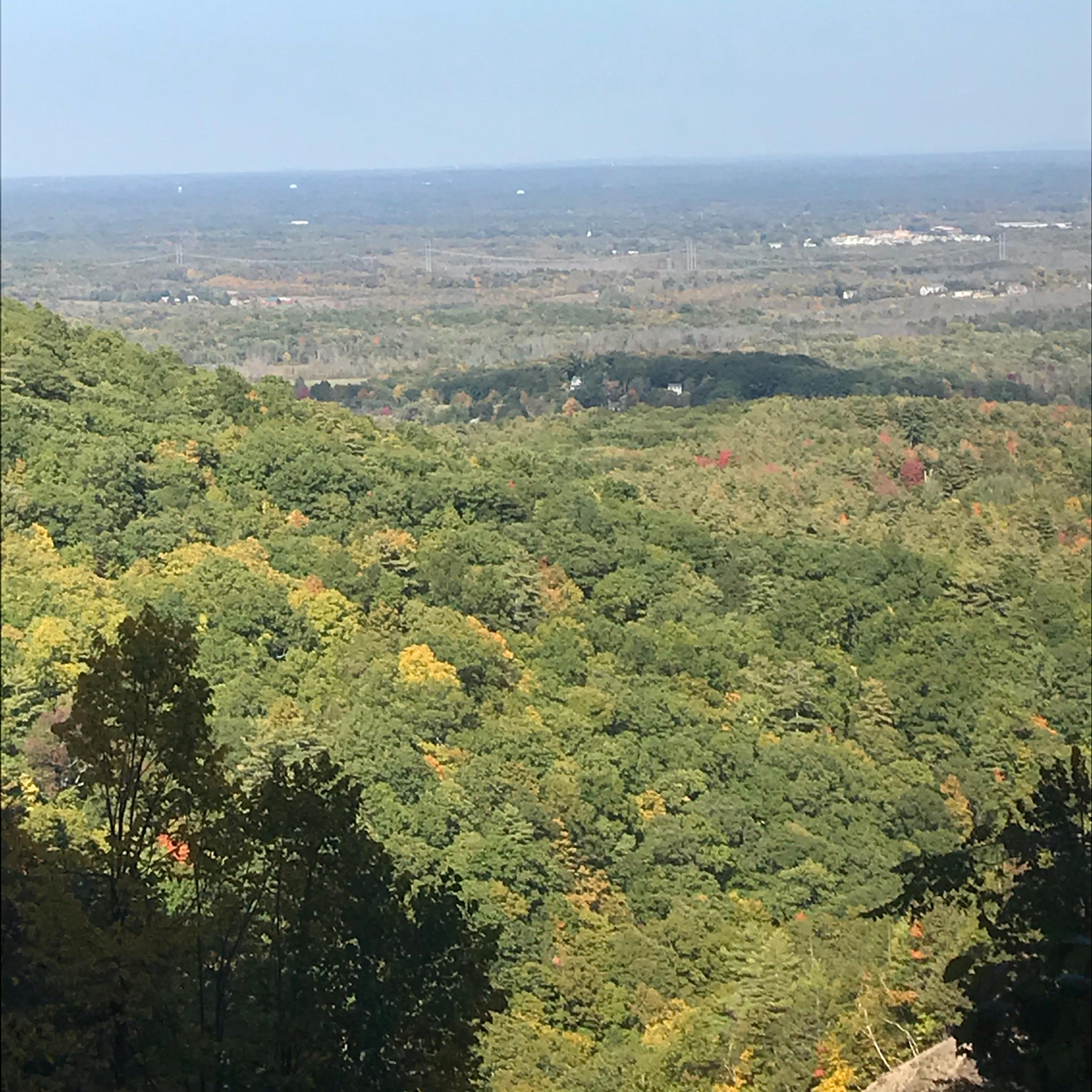 Why You Leave artwork