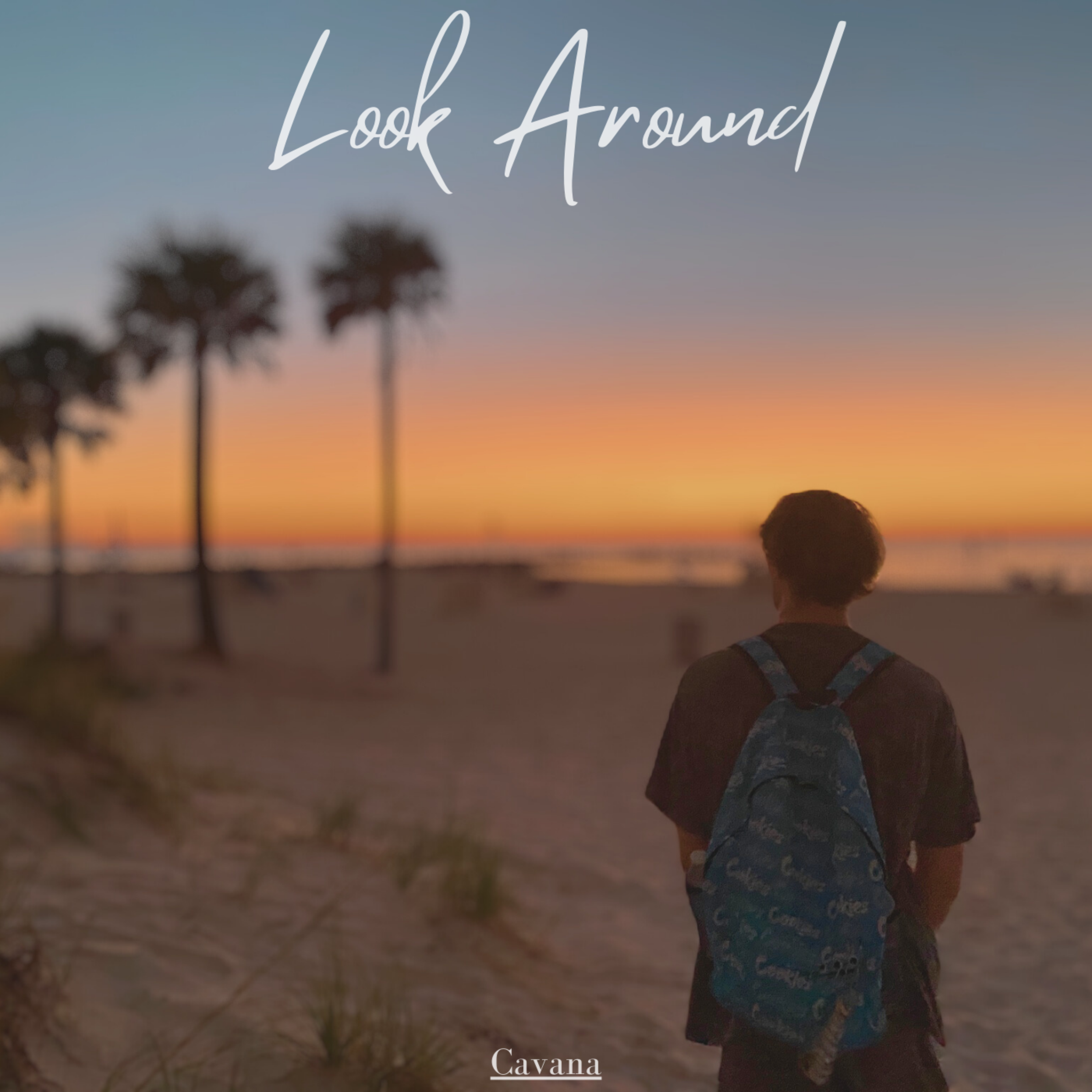 Look Around artwork