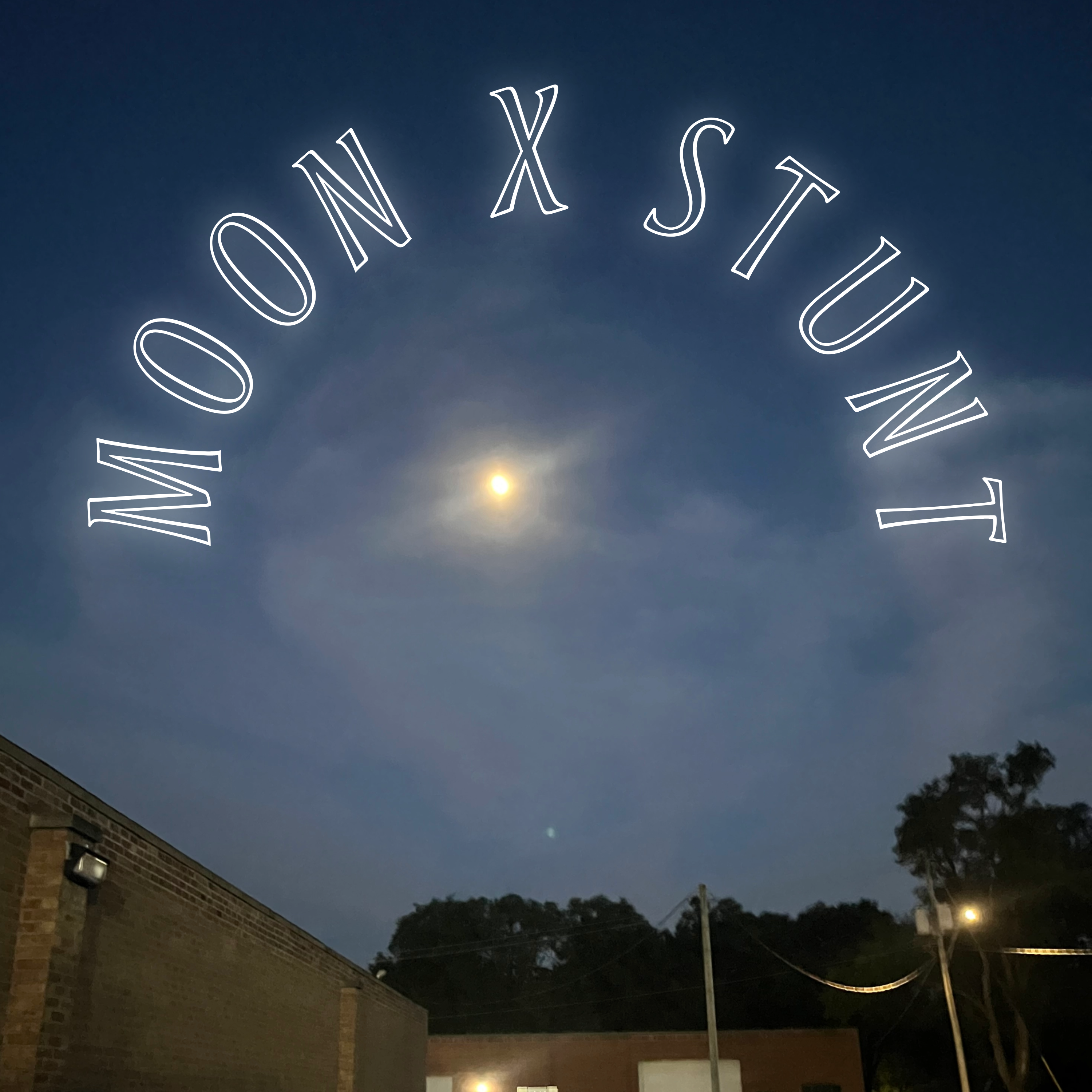 Moon artwork