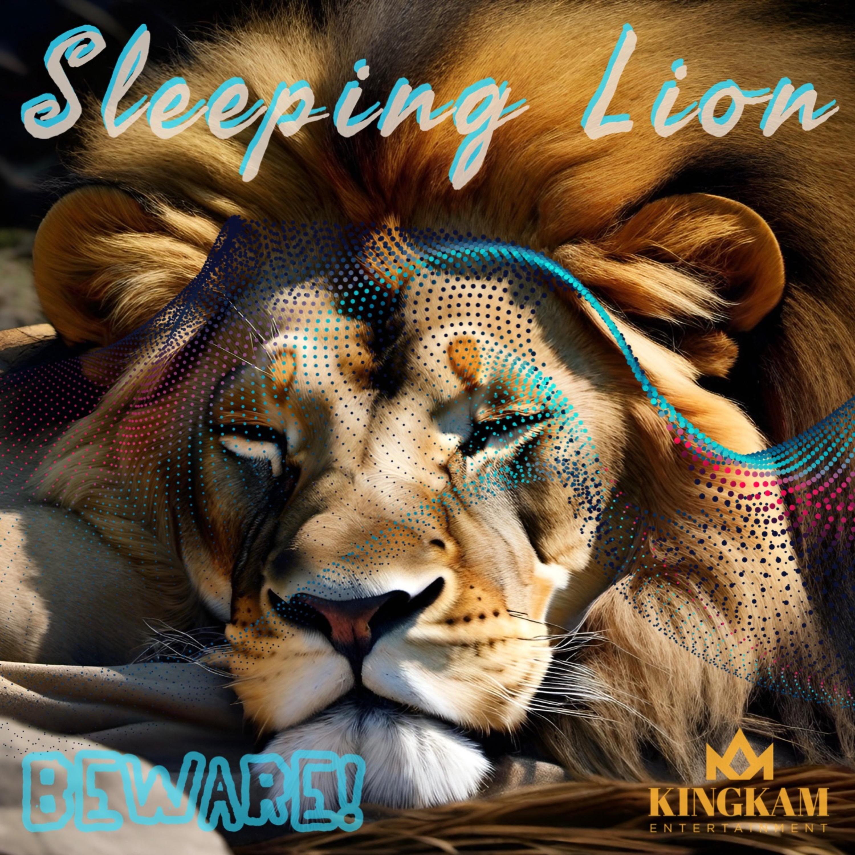 Sleeping Lion artwork