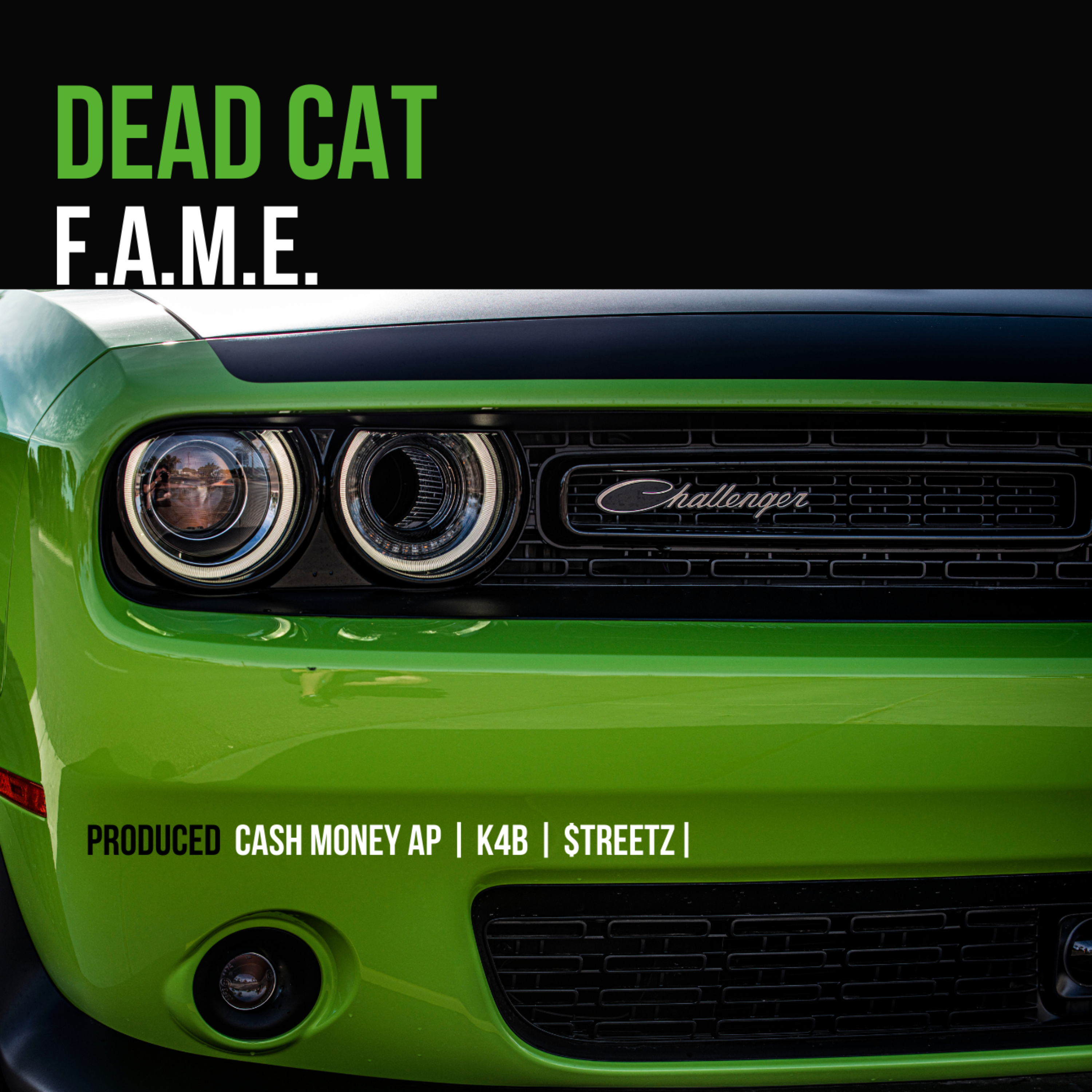 Dead Cat artwork