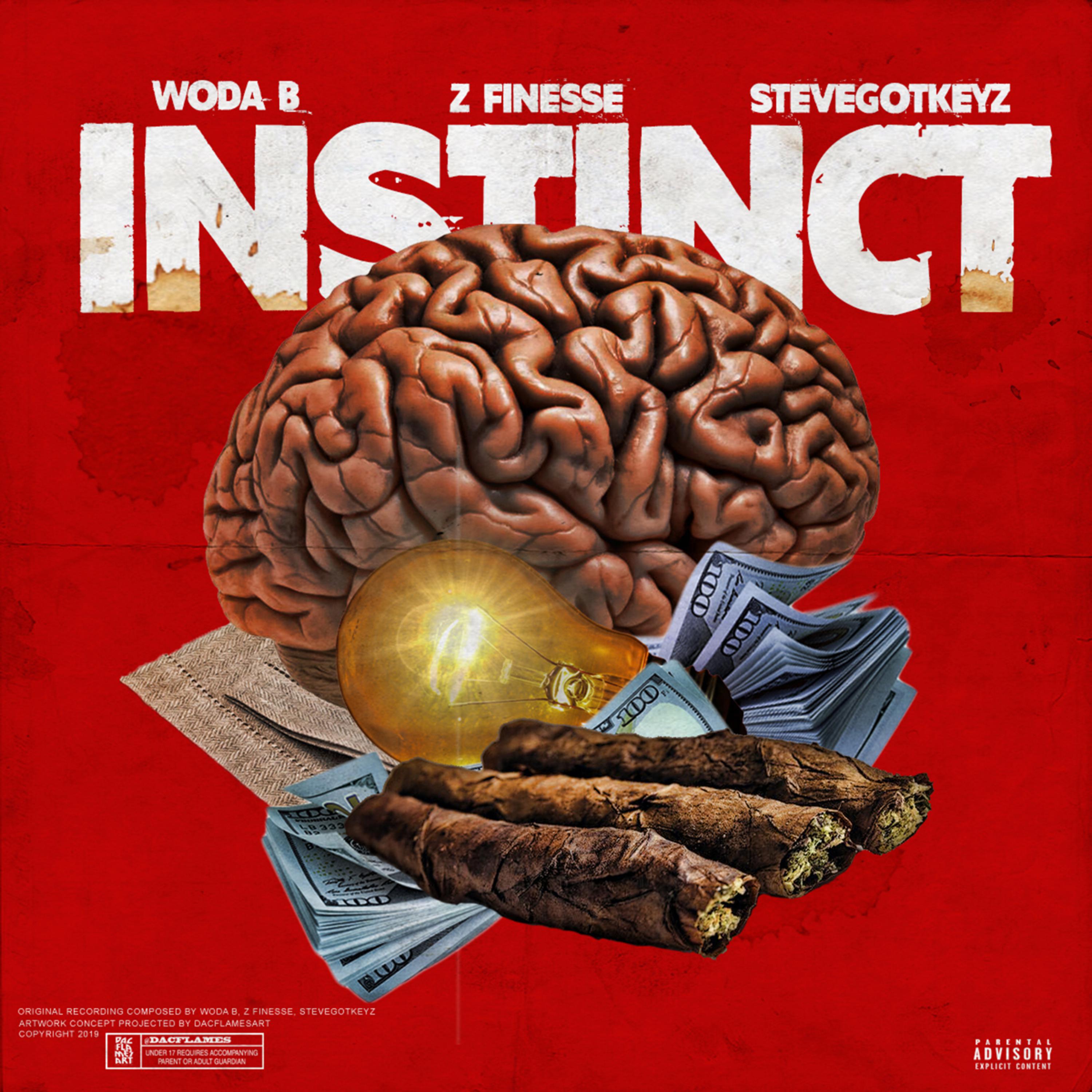 Instinct by Woda B cover art