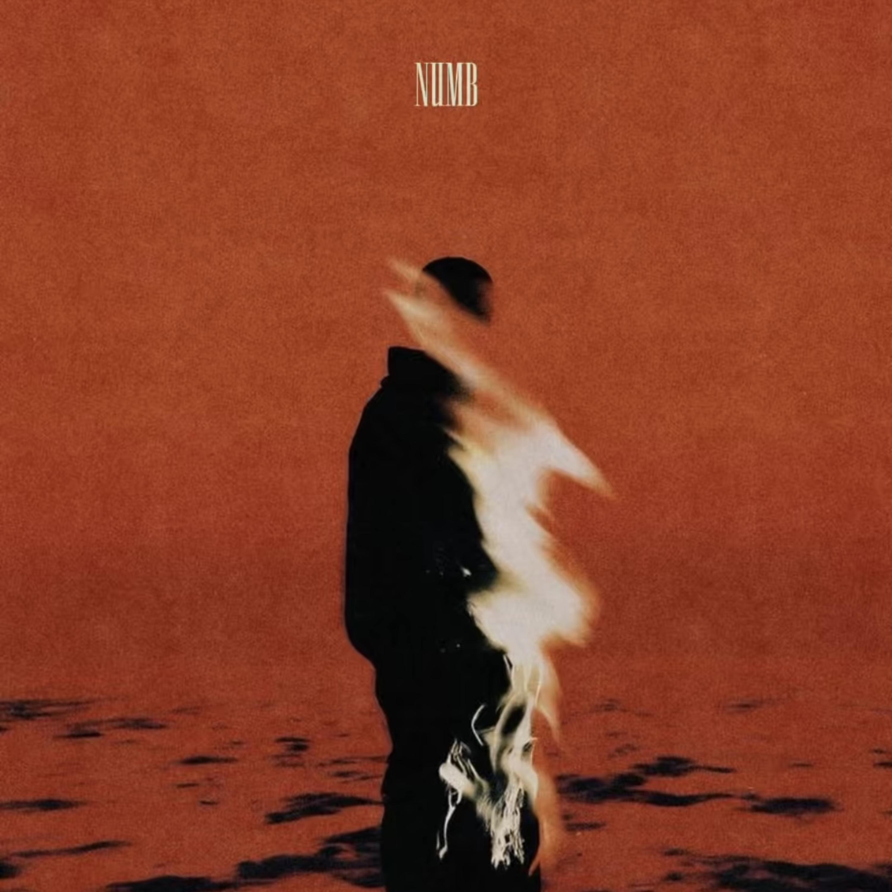 Numb artwork