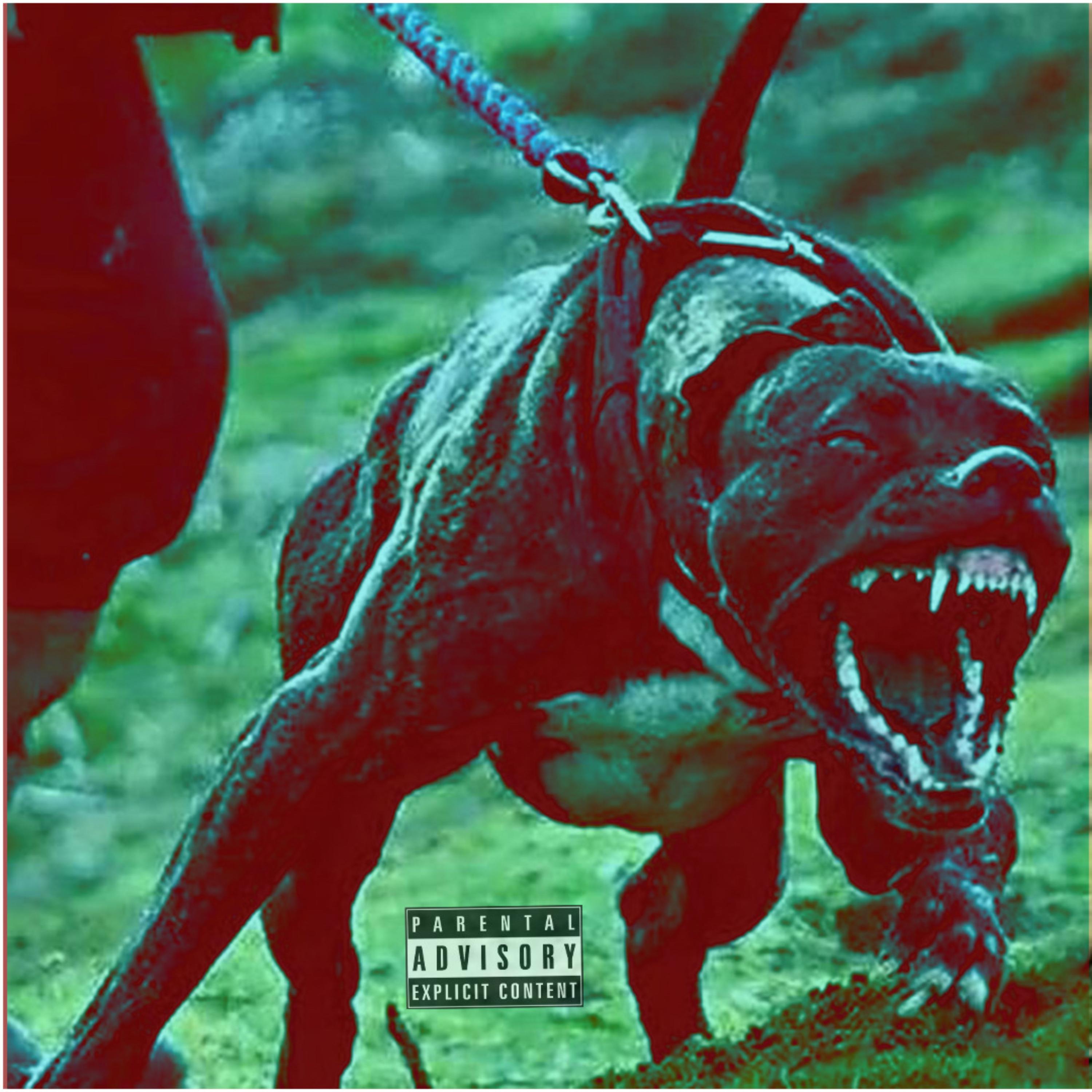 Big Dawg by No Nvme Re cover art