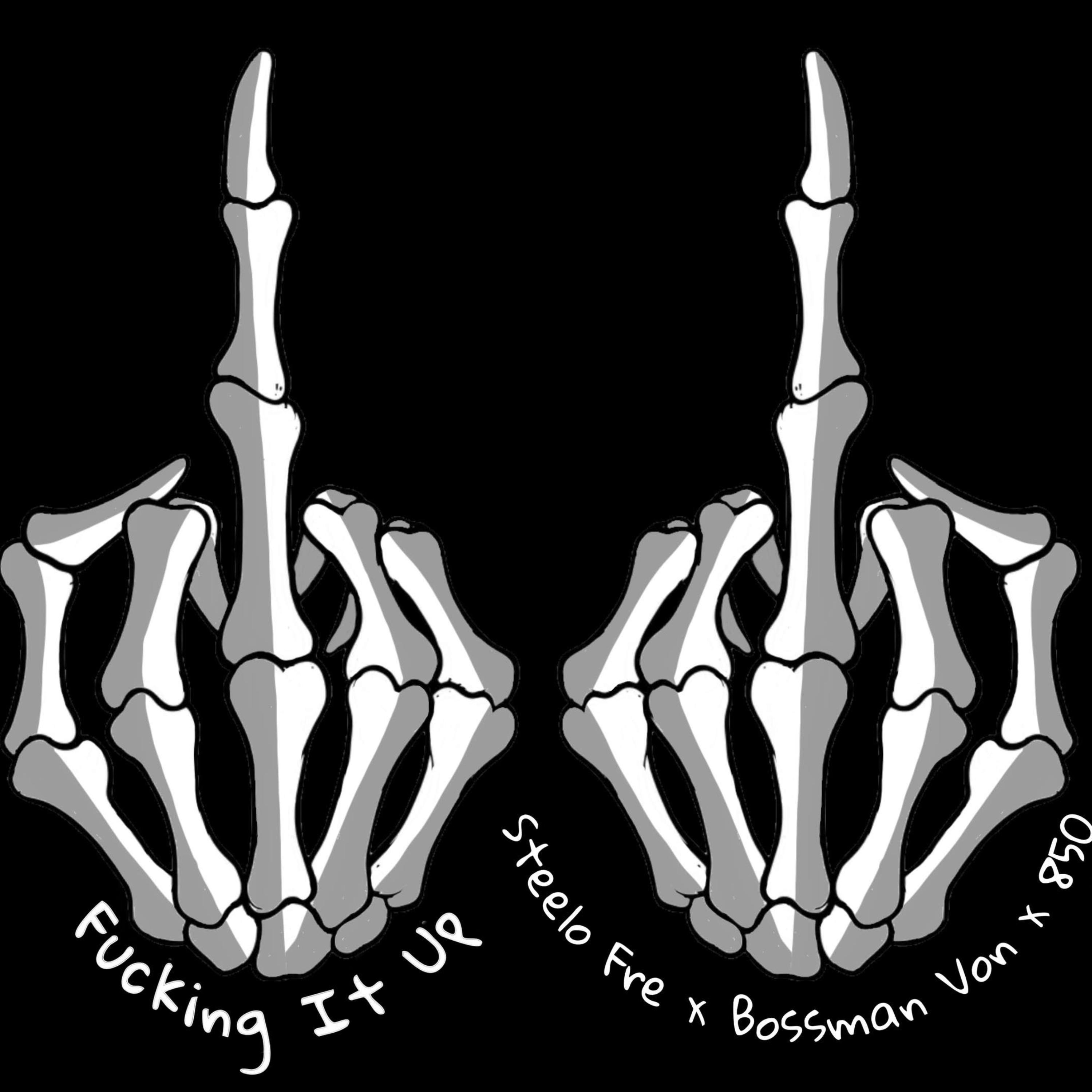 Fucking It up artwork