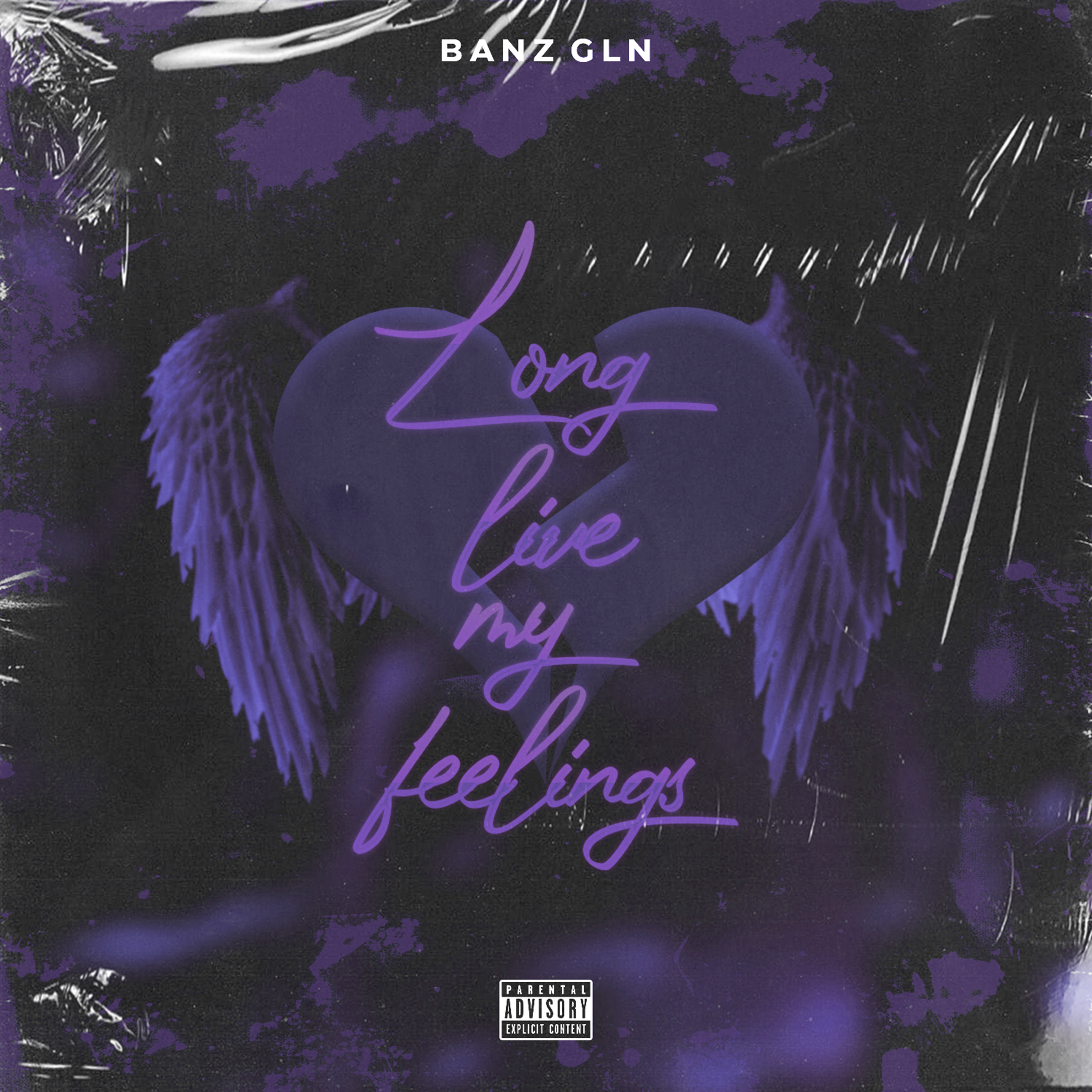 LONGLIVEMYFEELINGS artwork