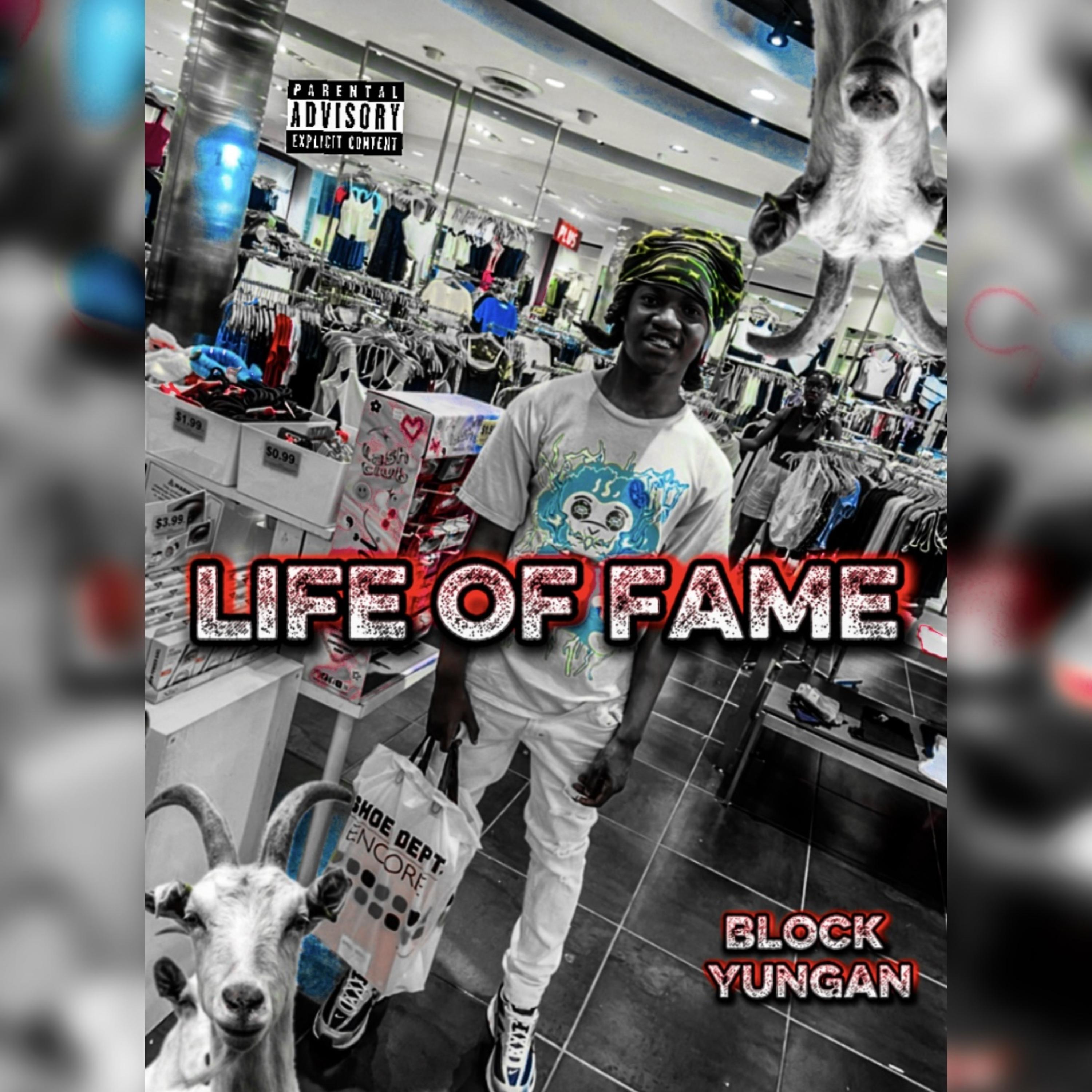 Life Of Fame artwork