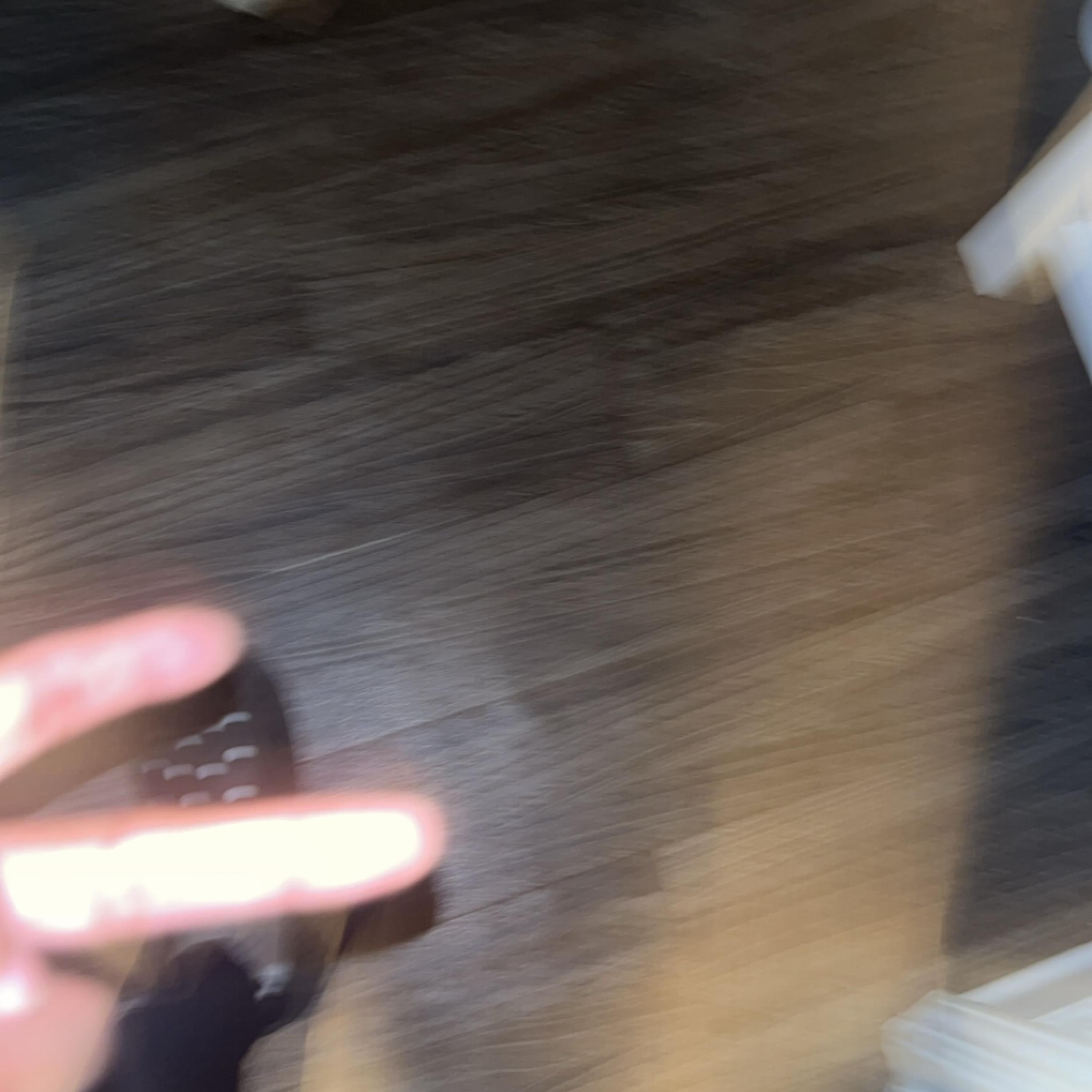 Shotguns & Paparazzi artwork