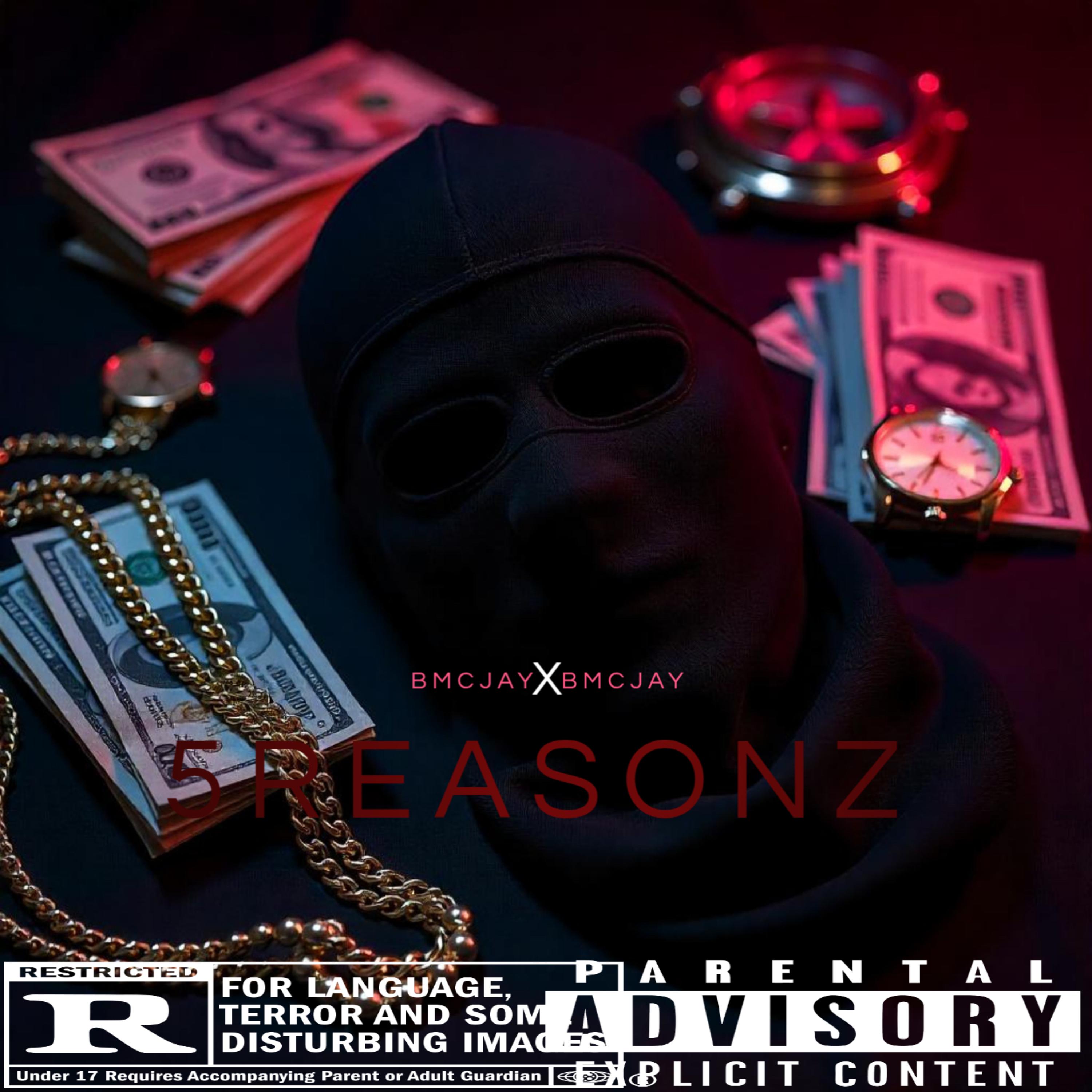 5Reasonz artwork