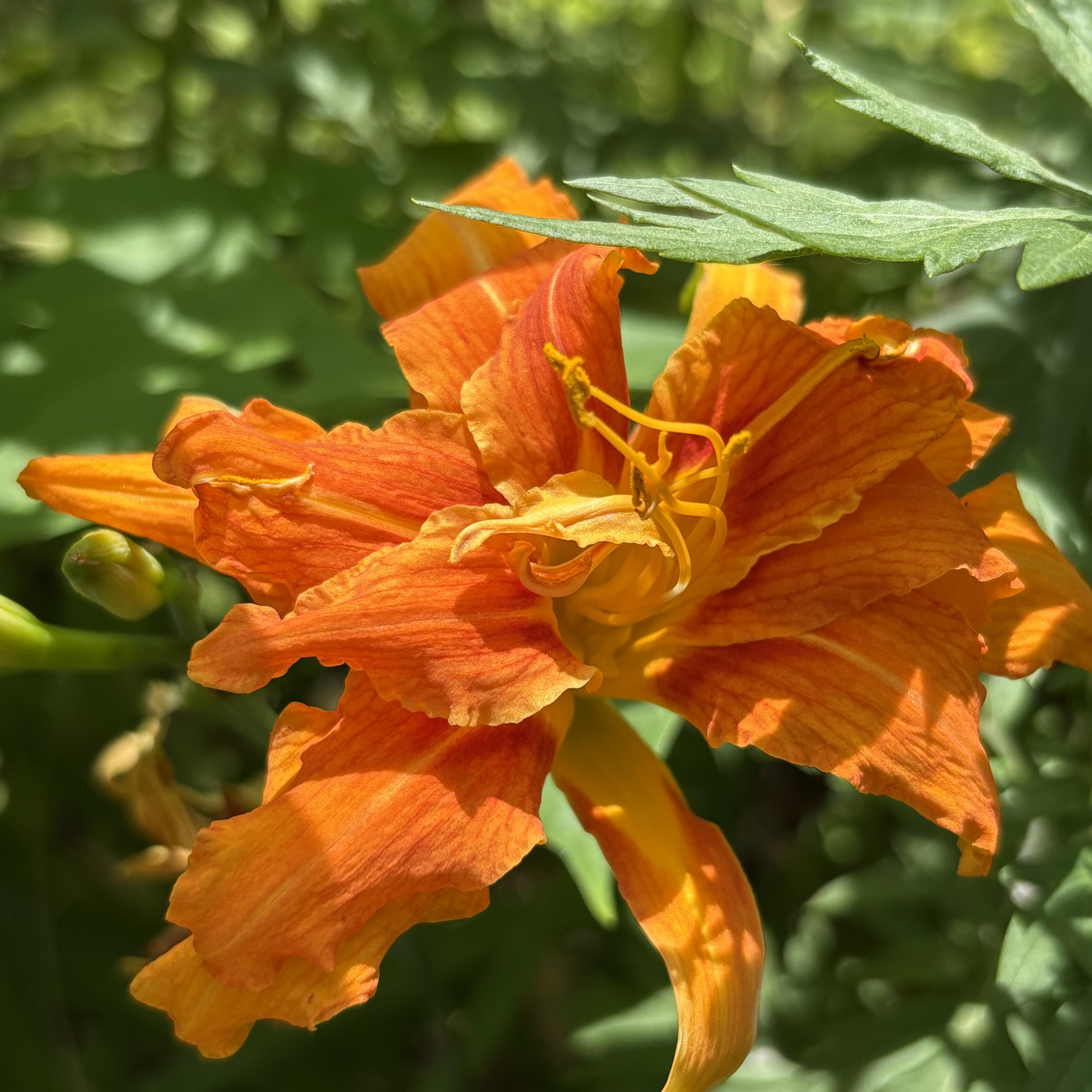 I’m moving artwork