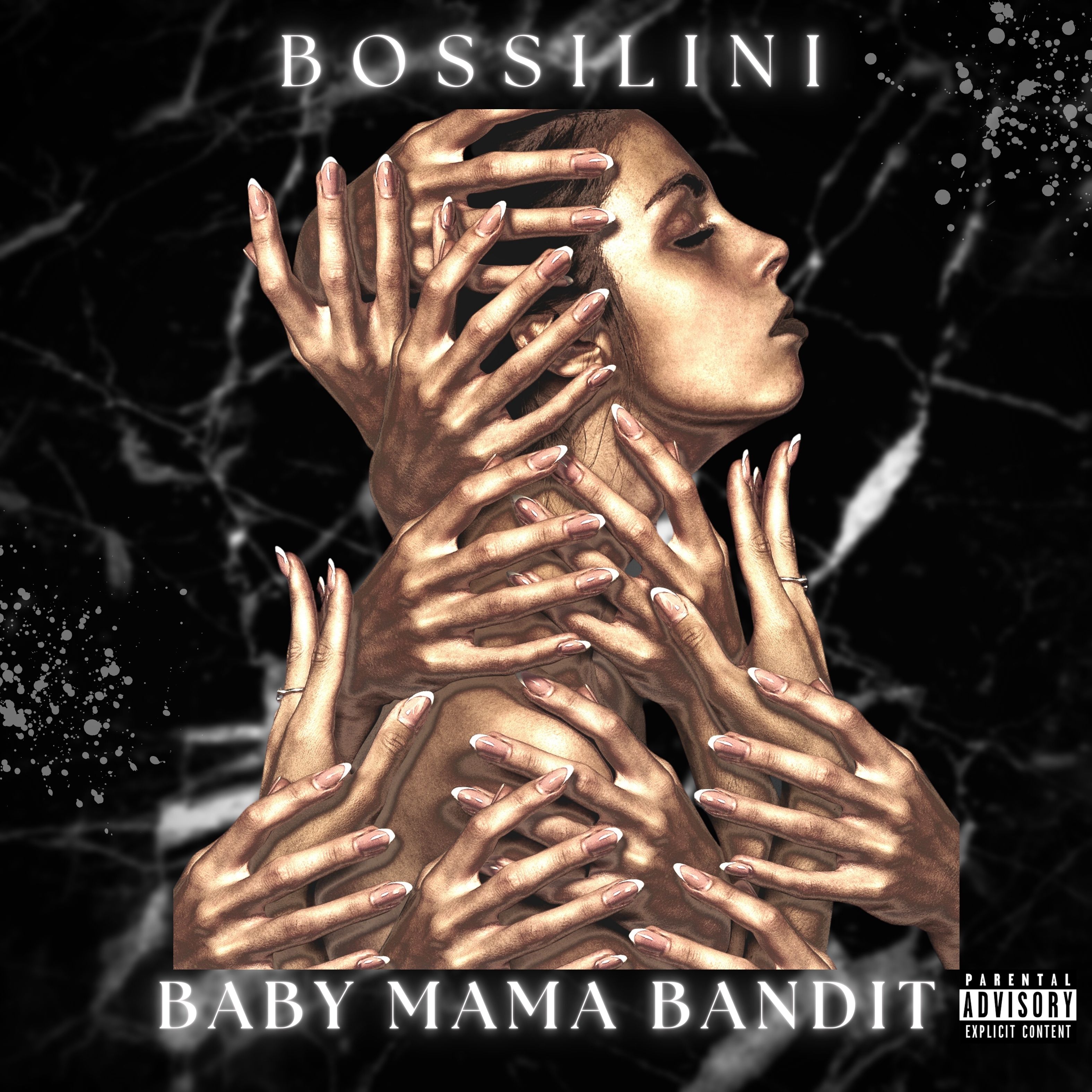 Baby Mama Bandit artwork