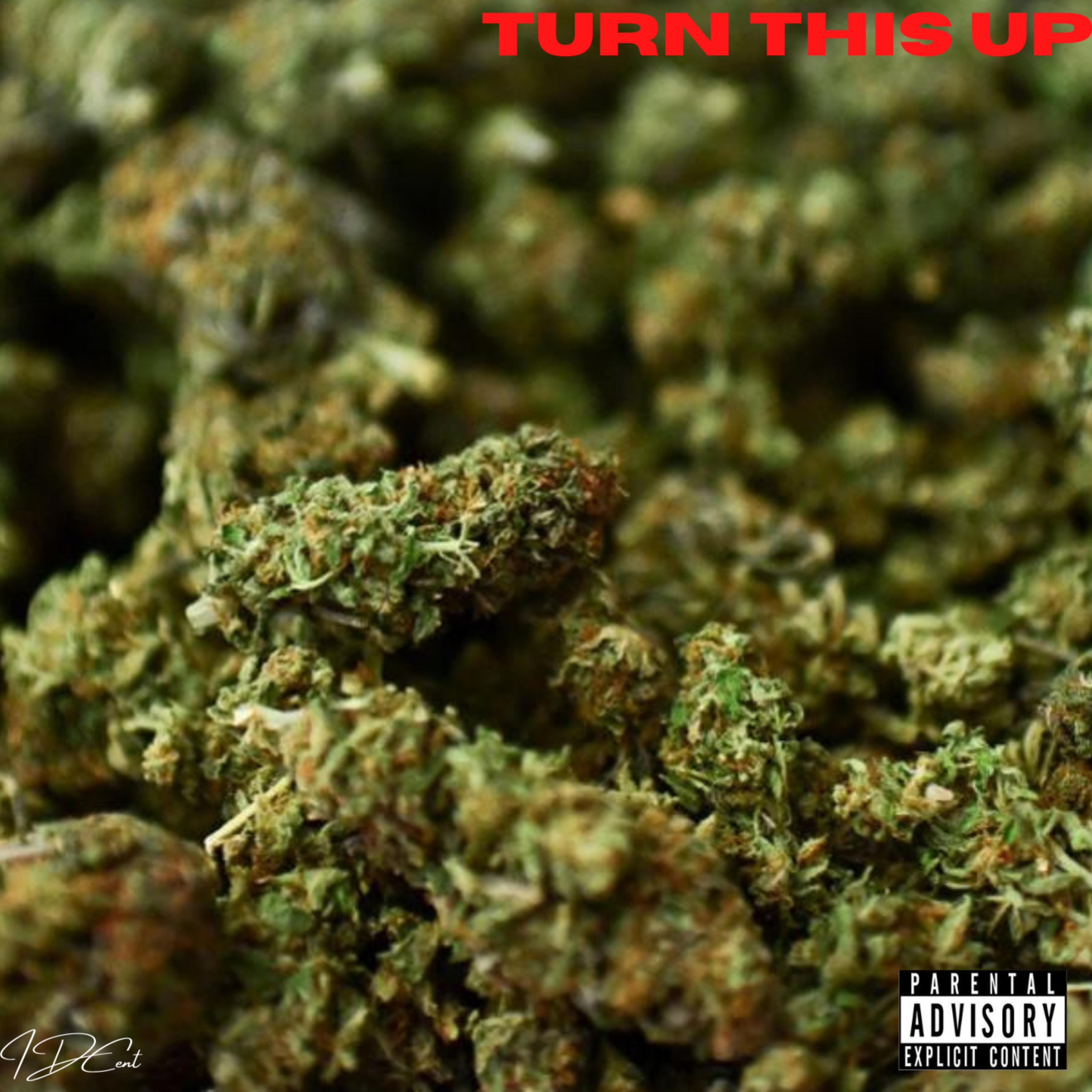 Turn This Up artwork