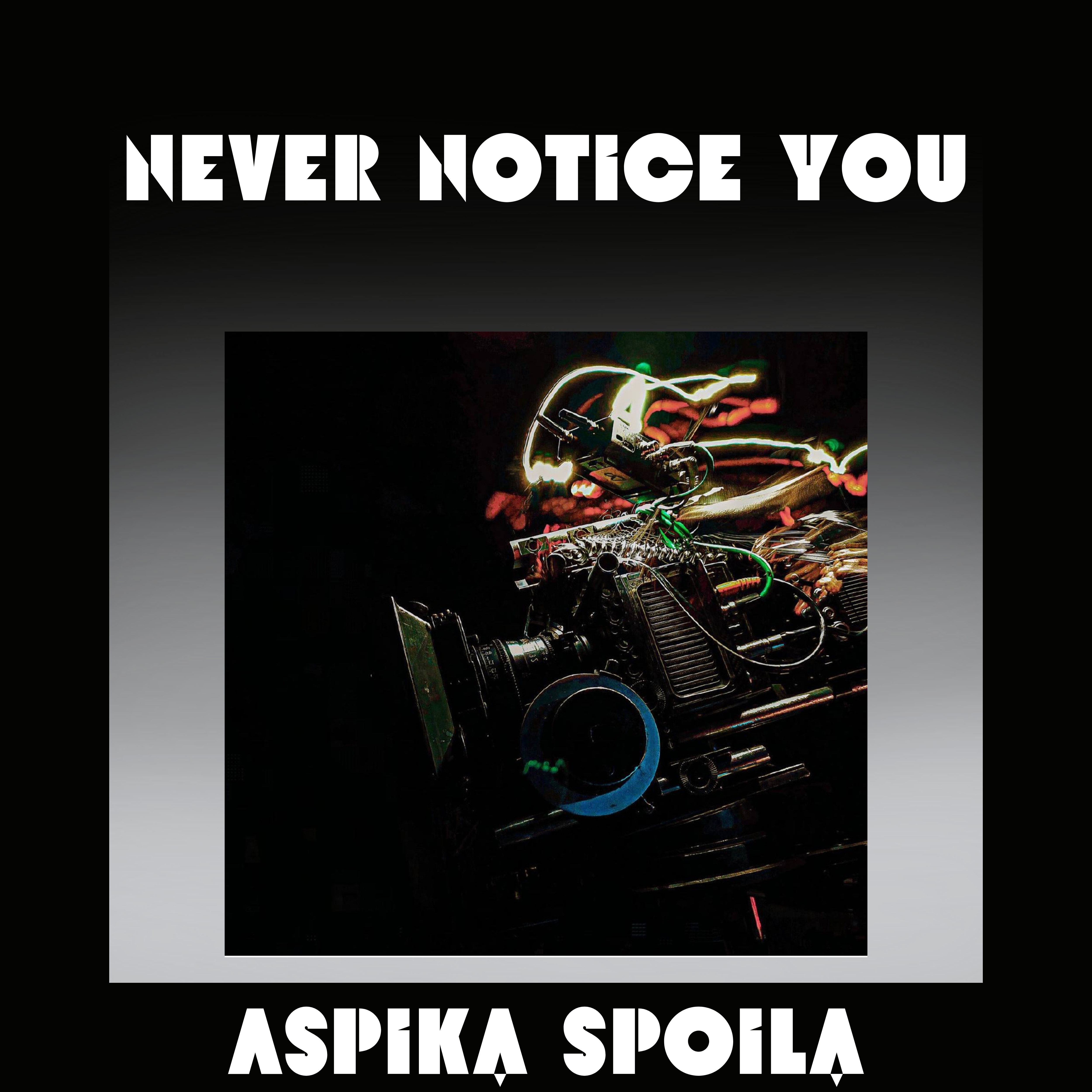Never Notice You artwork