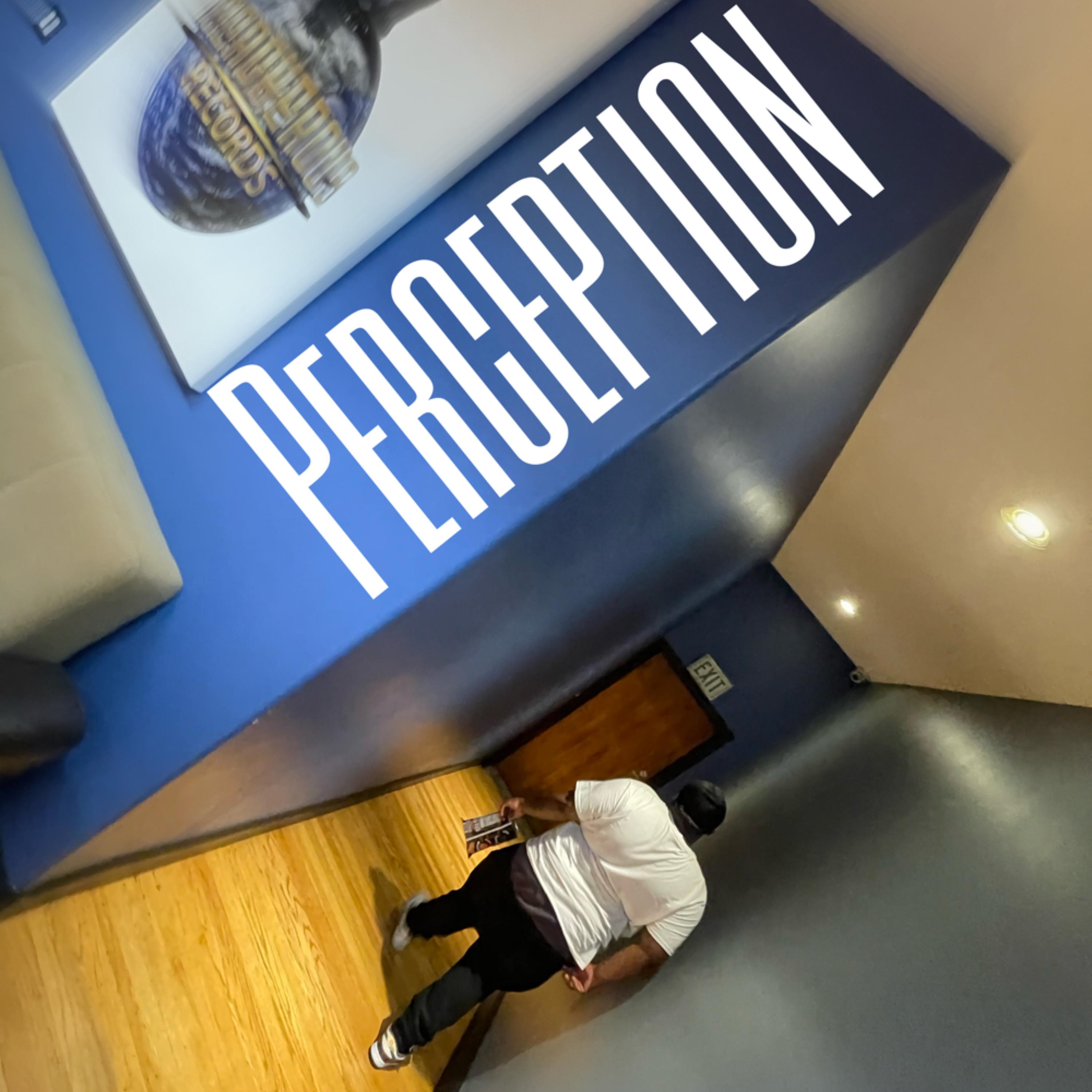 Perception artwork
