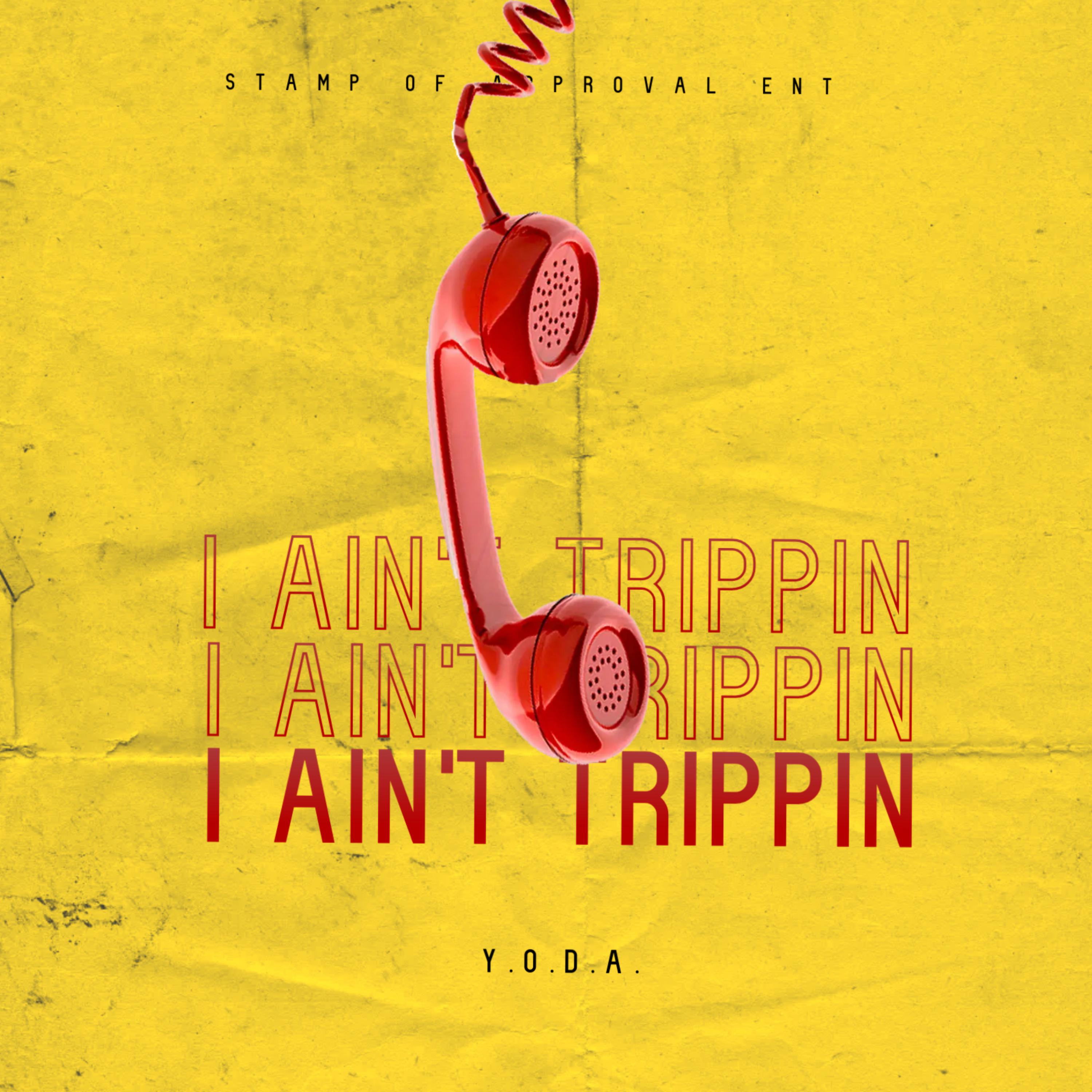 I Ain't Trippin (Remix) artwork