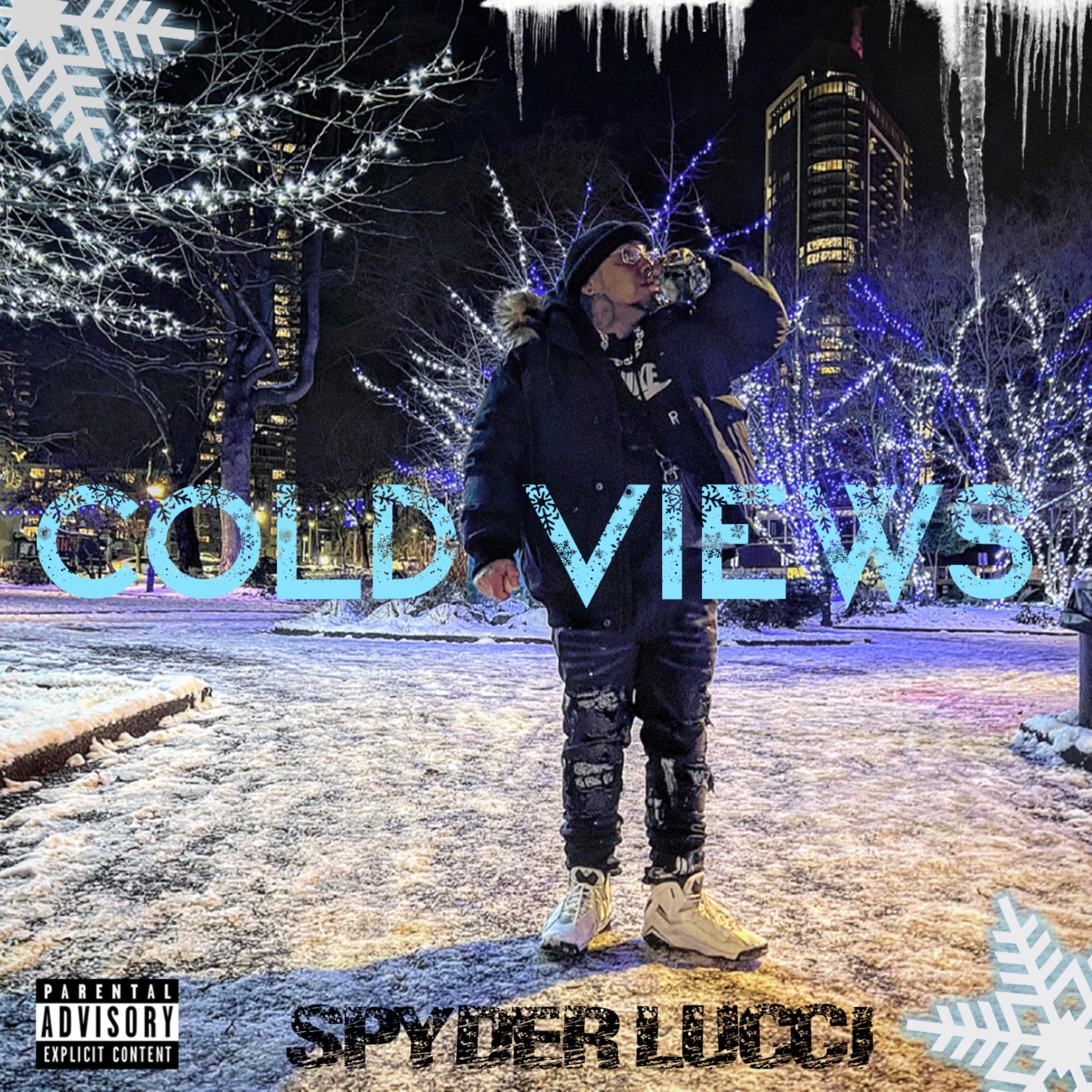 Cold Views artwork