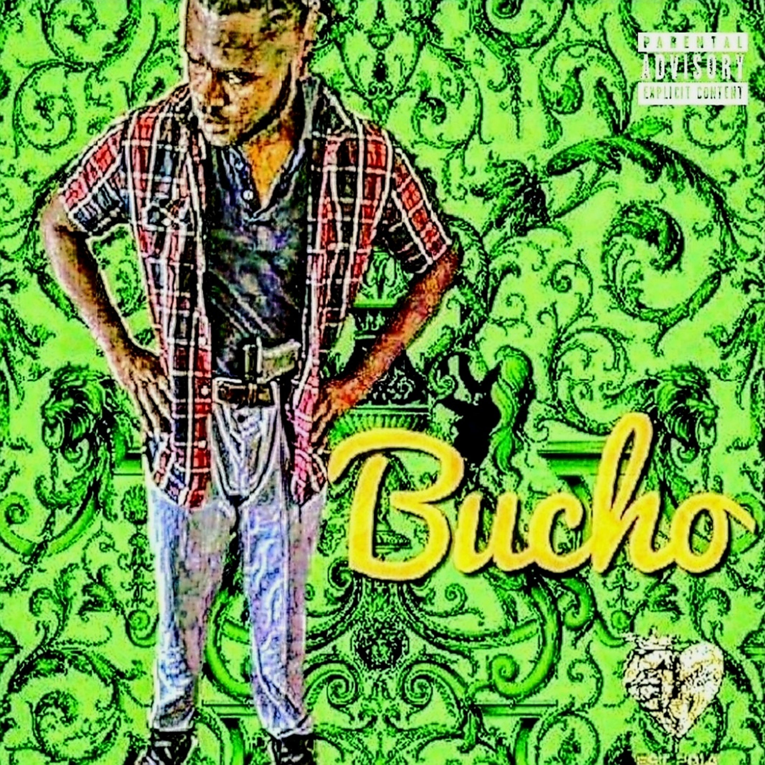 Bucho artwork