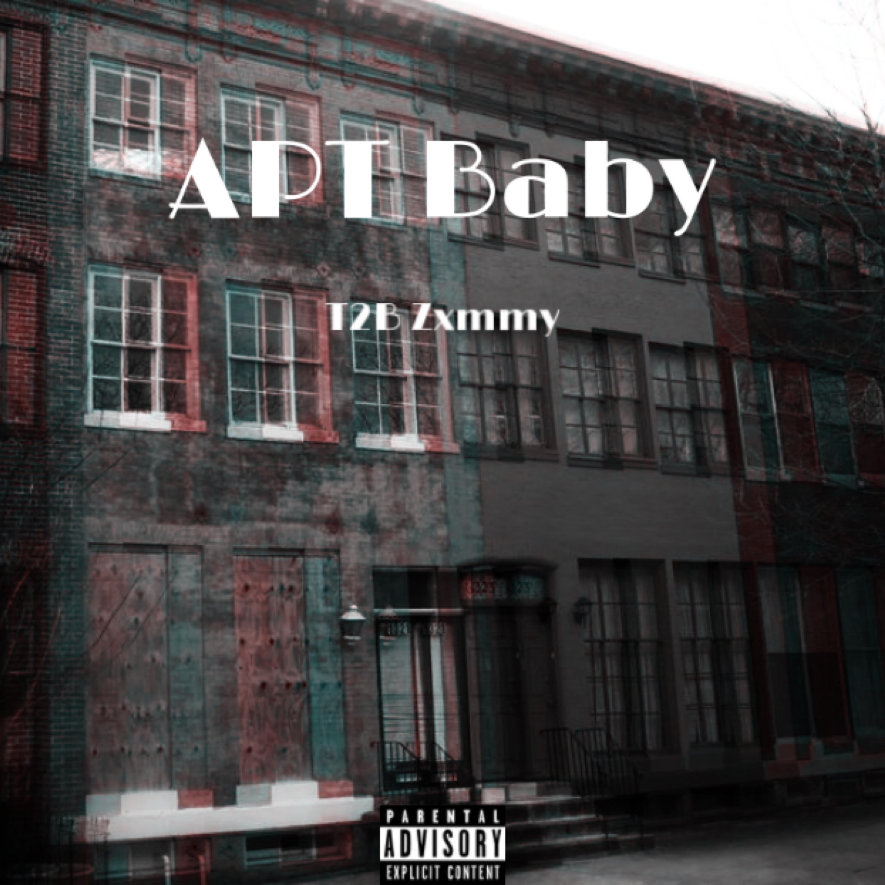 APT Baby by T2B Zxmmy cover art