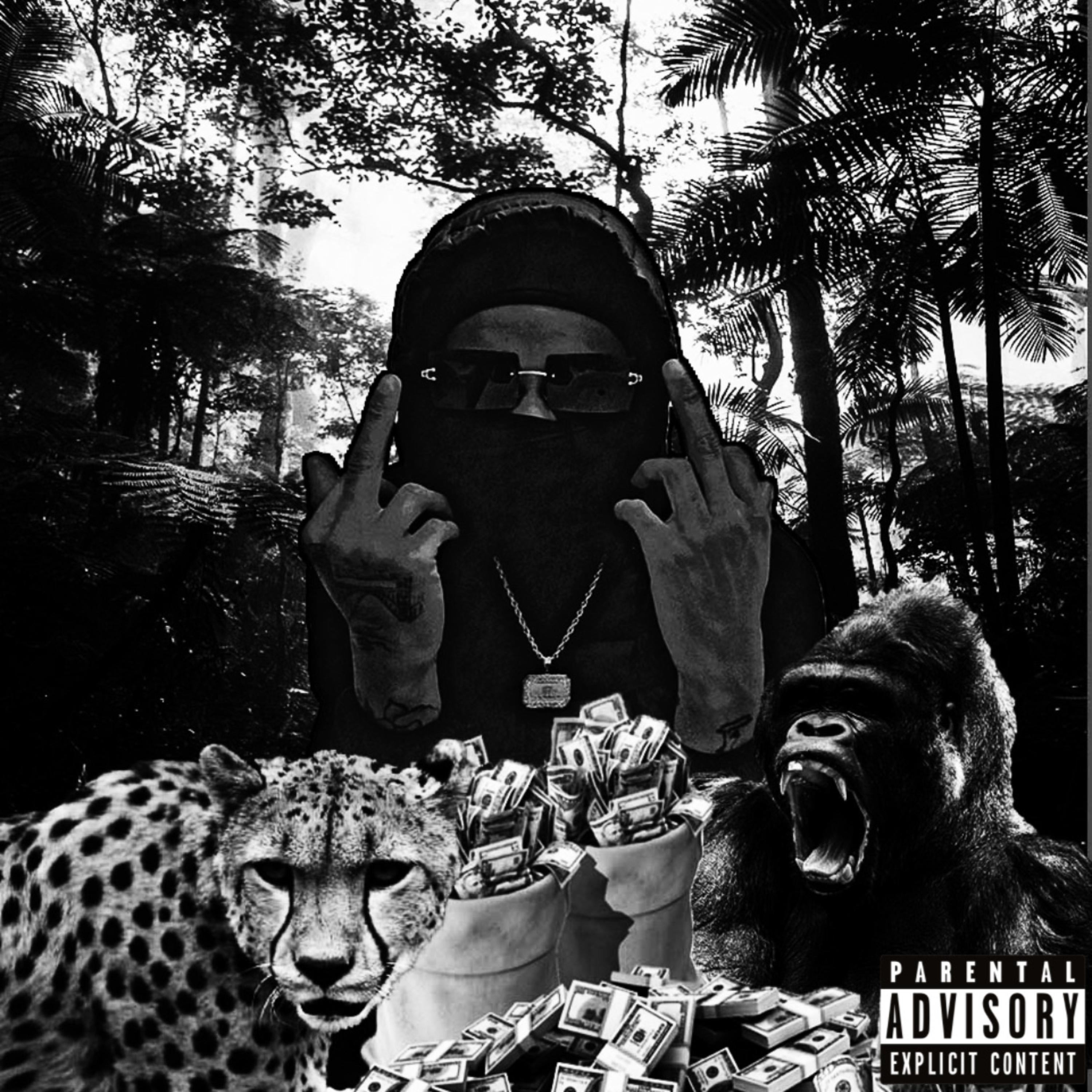 Welcome To The Zoo artwork
