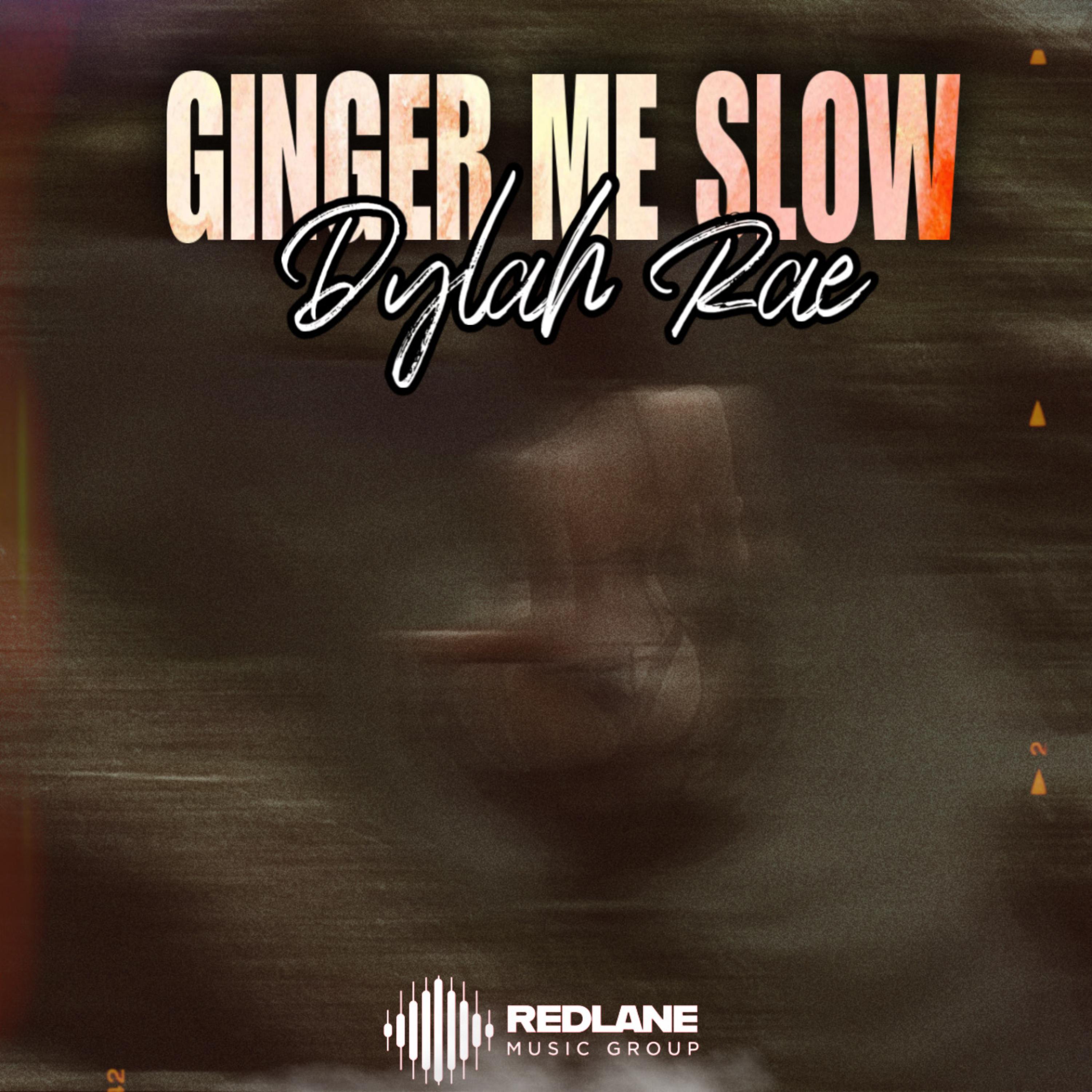 Ginger Me Slow artwork