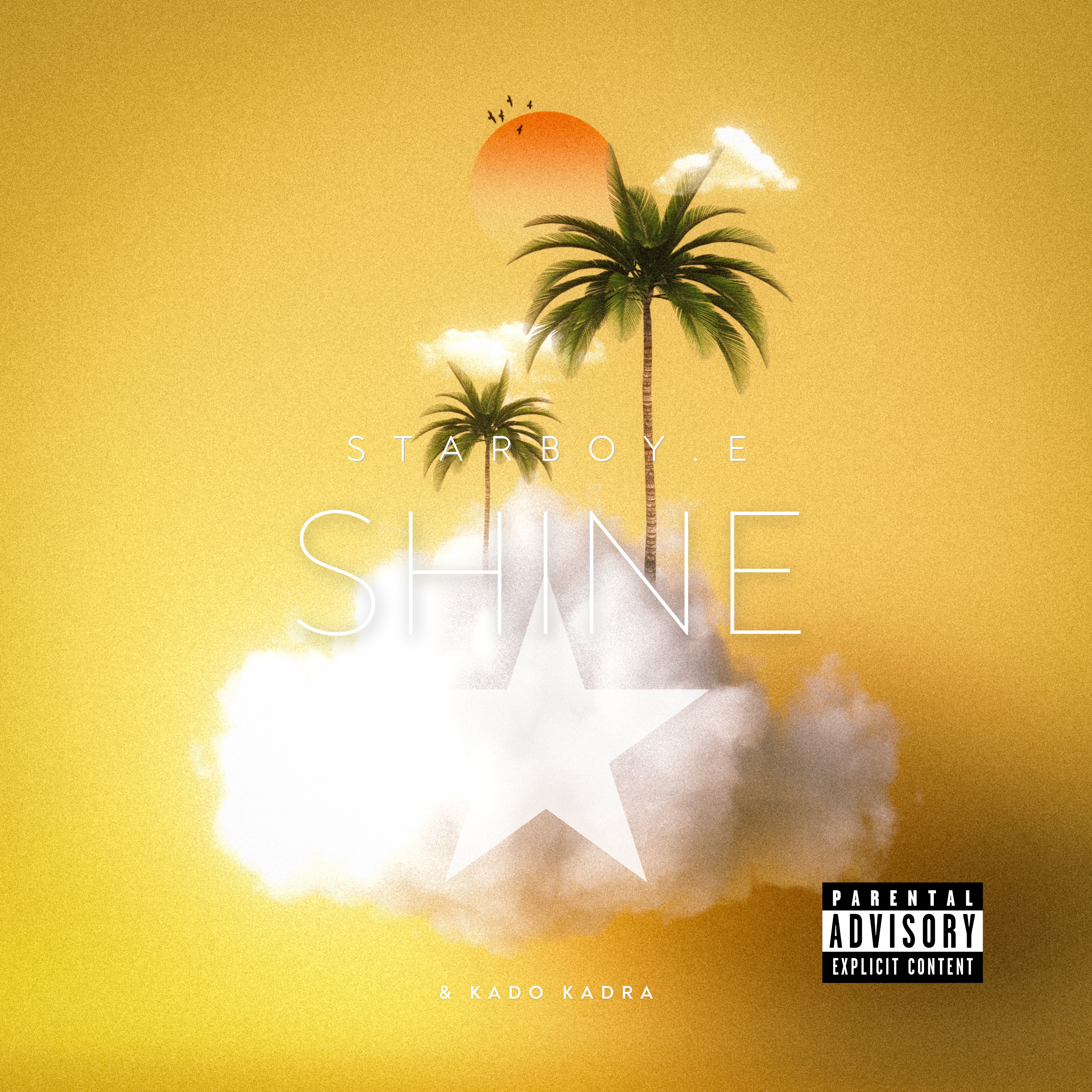 SHINE artwork
