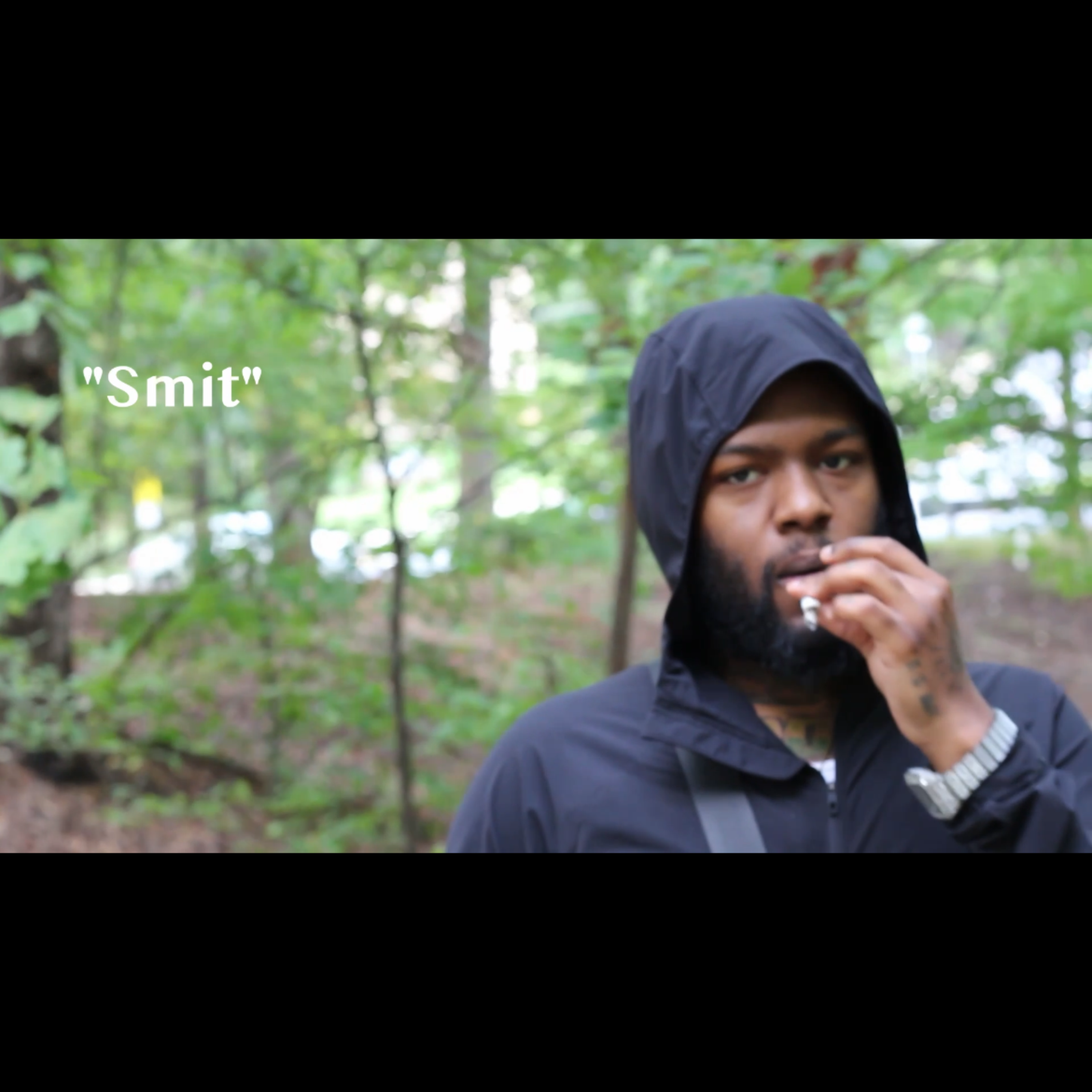 Smit by 1lildonn cover art