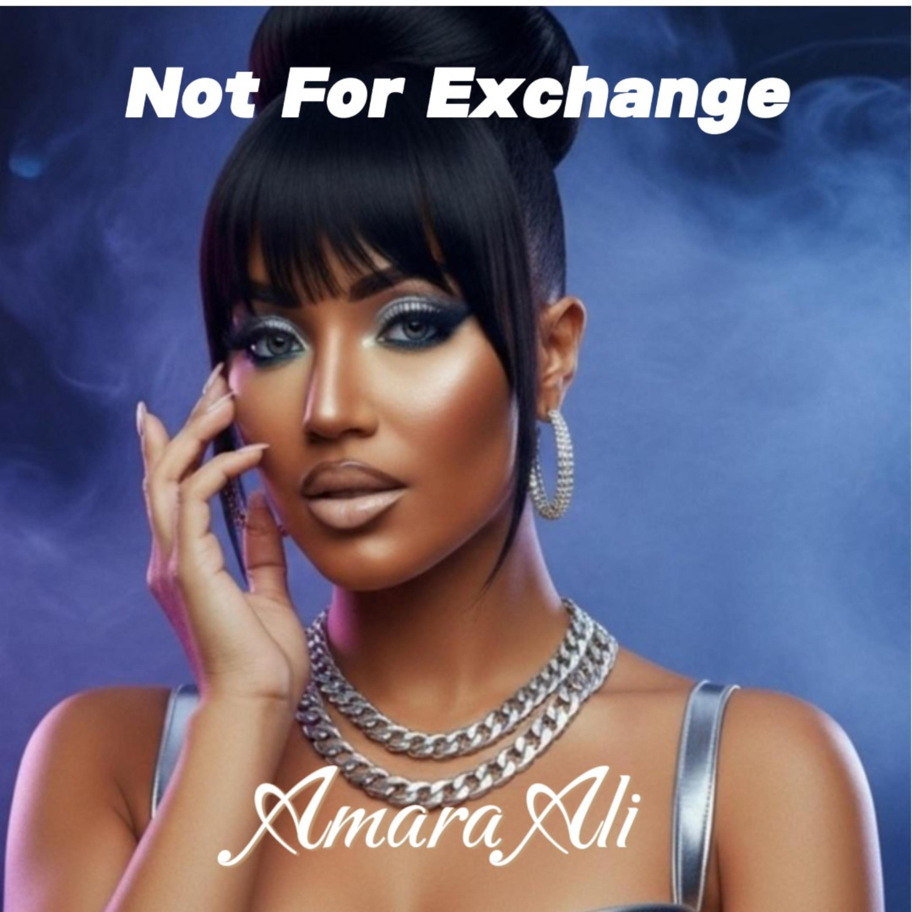 Not For Exchange artwork