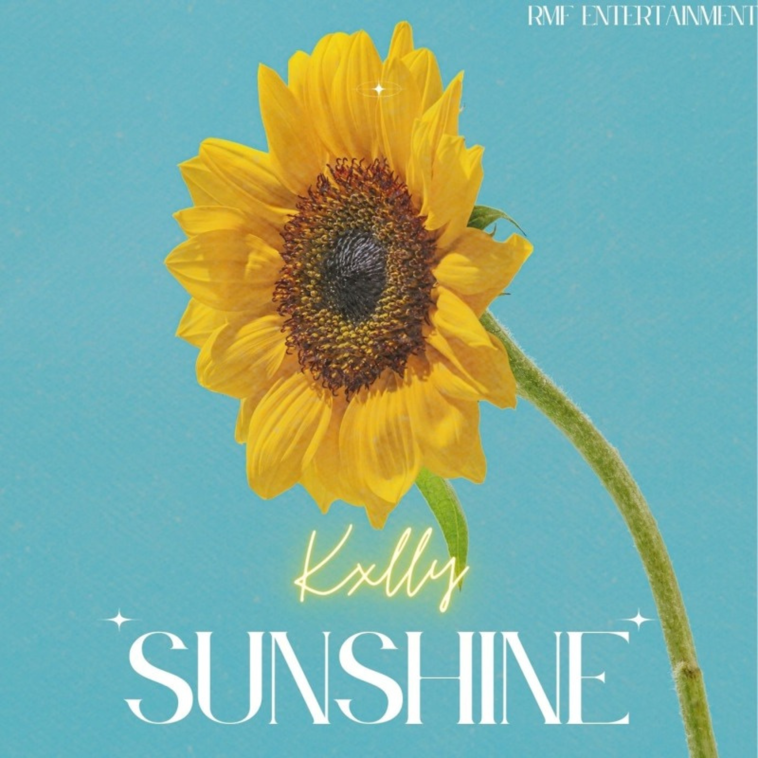 Sunshine artwork