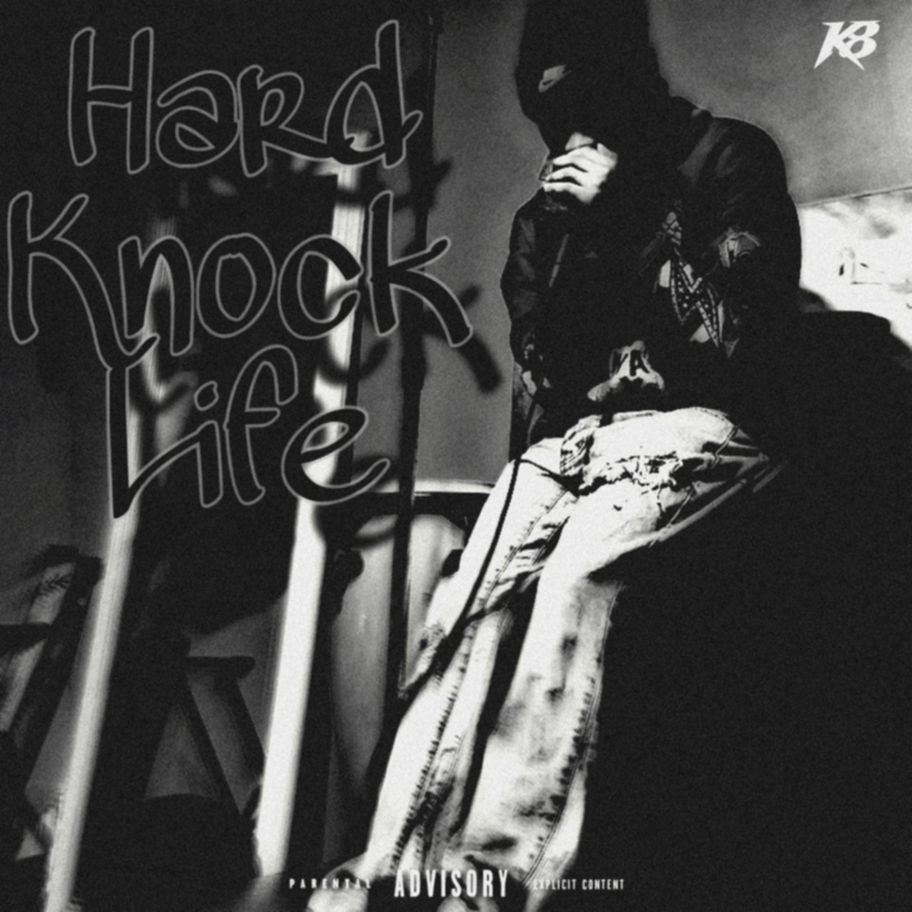 Hard Knock Life artwork