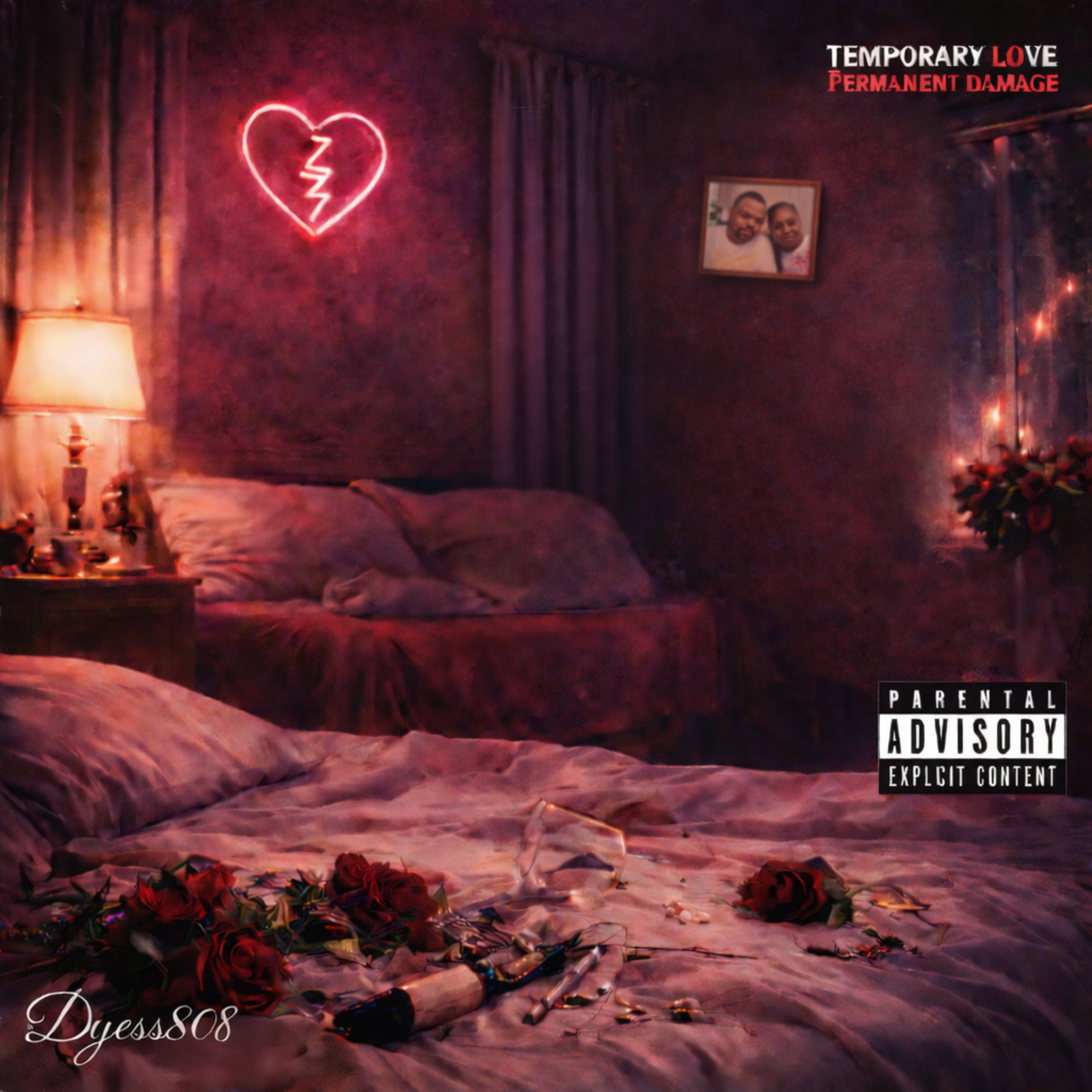 TEMPORARY LOVE PERMANENT DAMAGE artwork