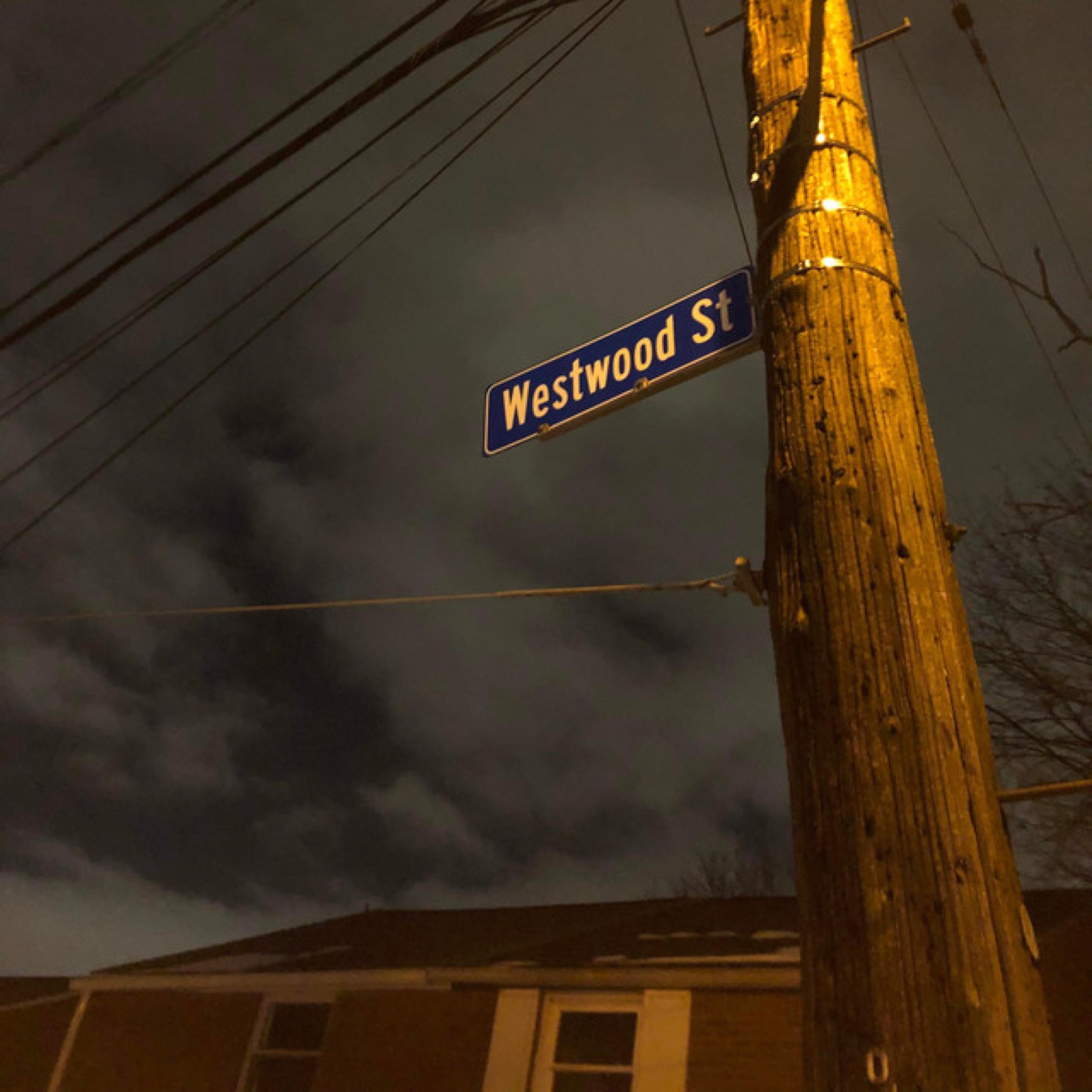 Westwood by TONY NEW cover art