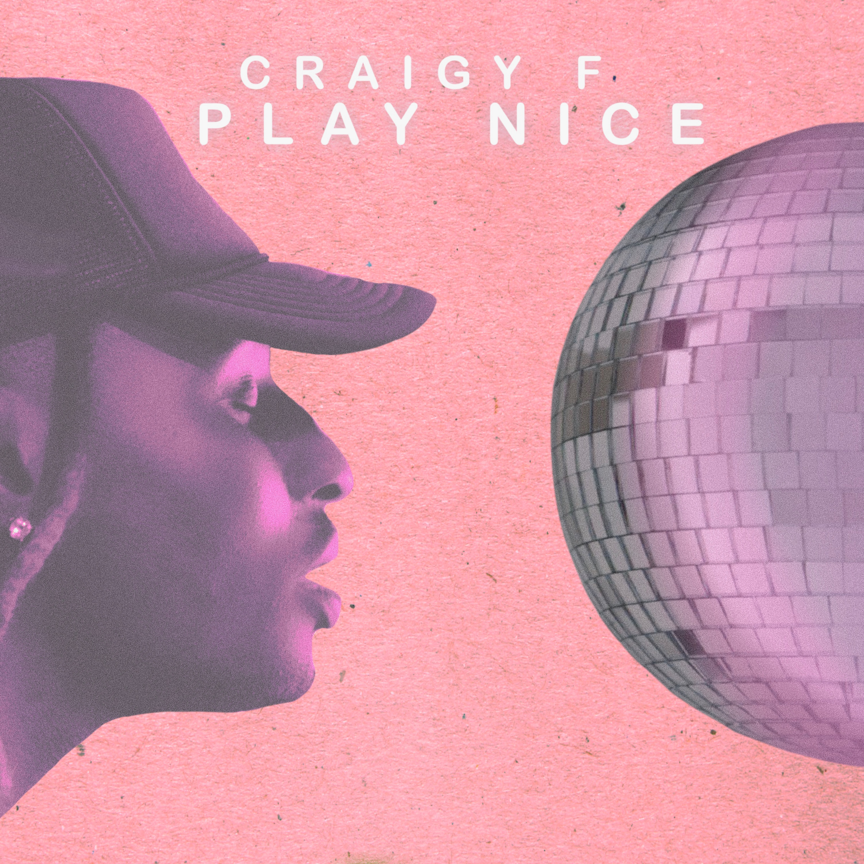 Play Nice artwork