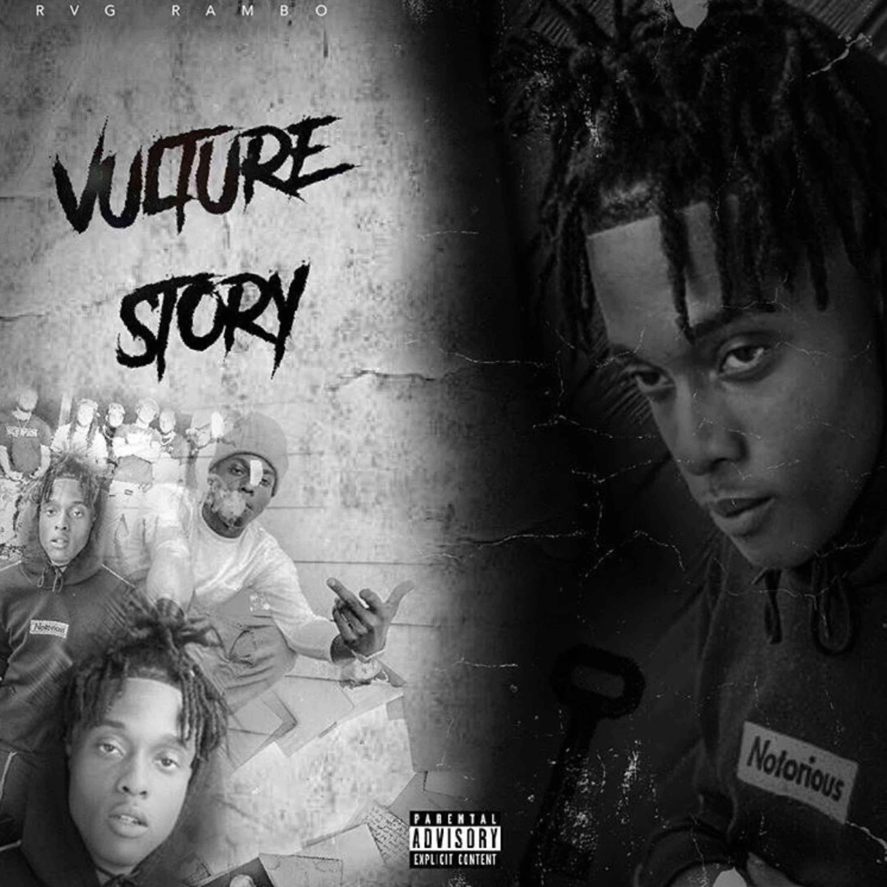 Vulture Story Deluxe artwork
