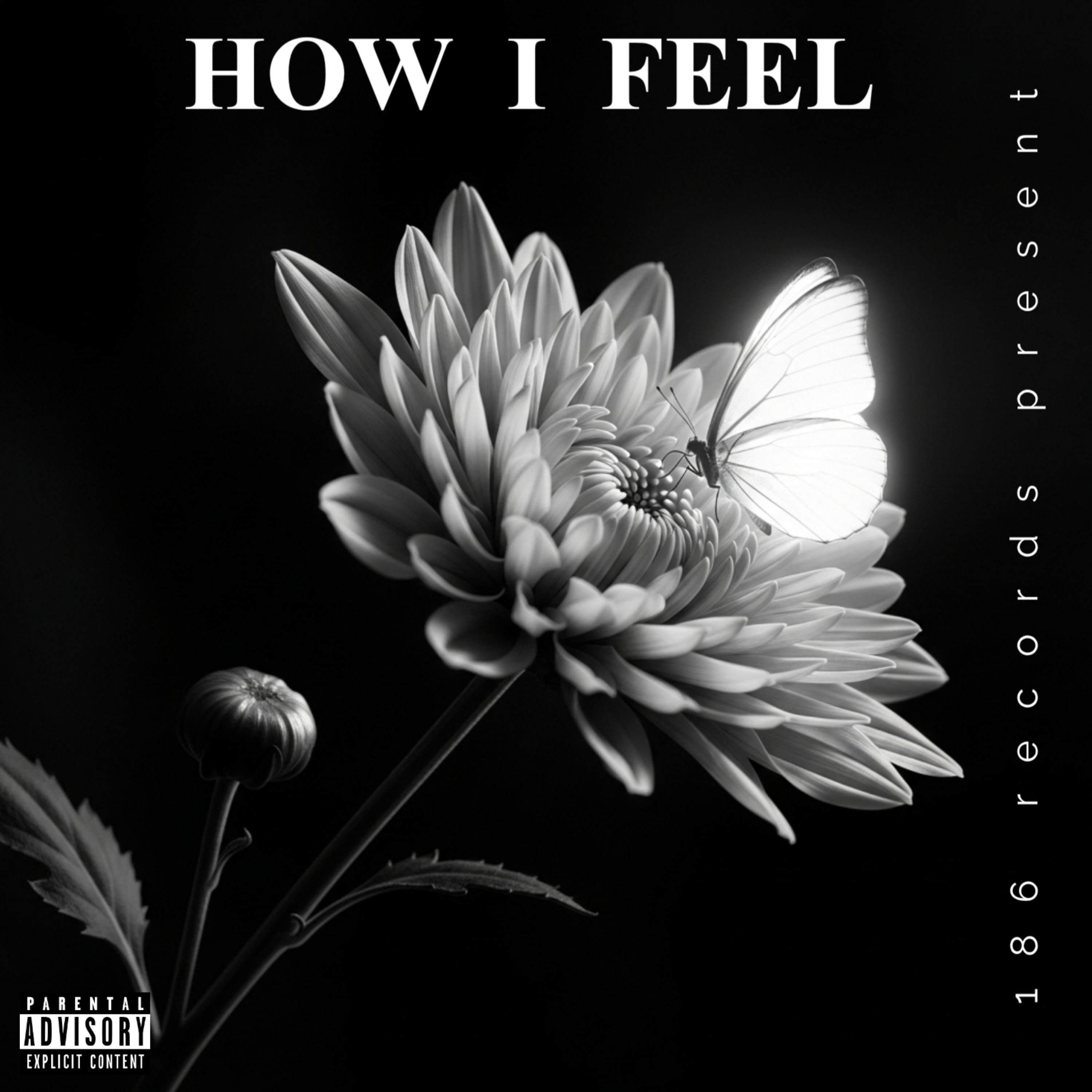 How I Feel artwork