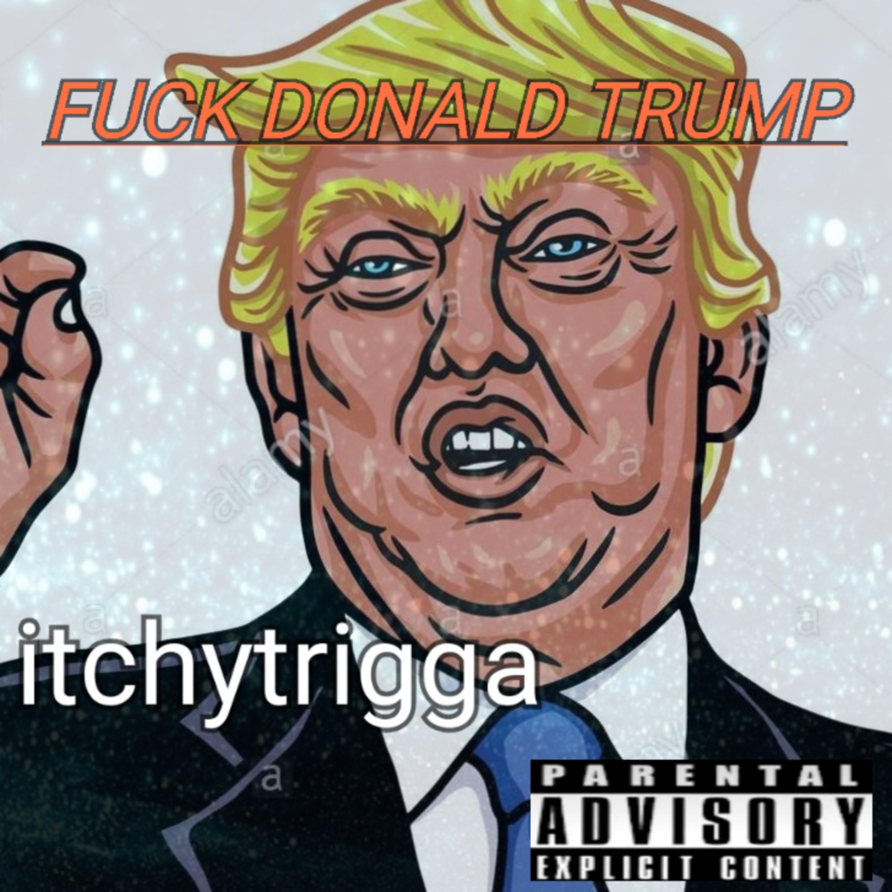 Fuck Donald Trump artwork
