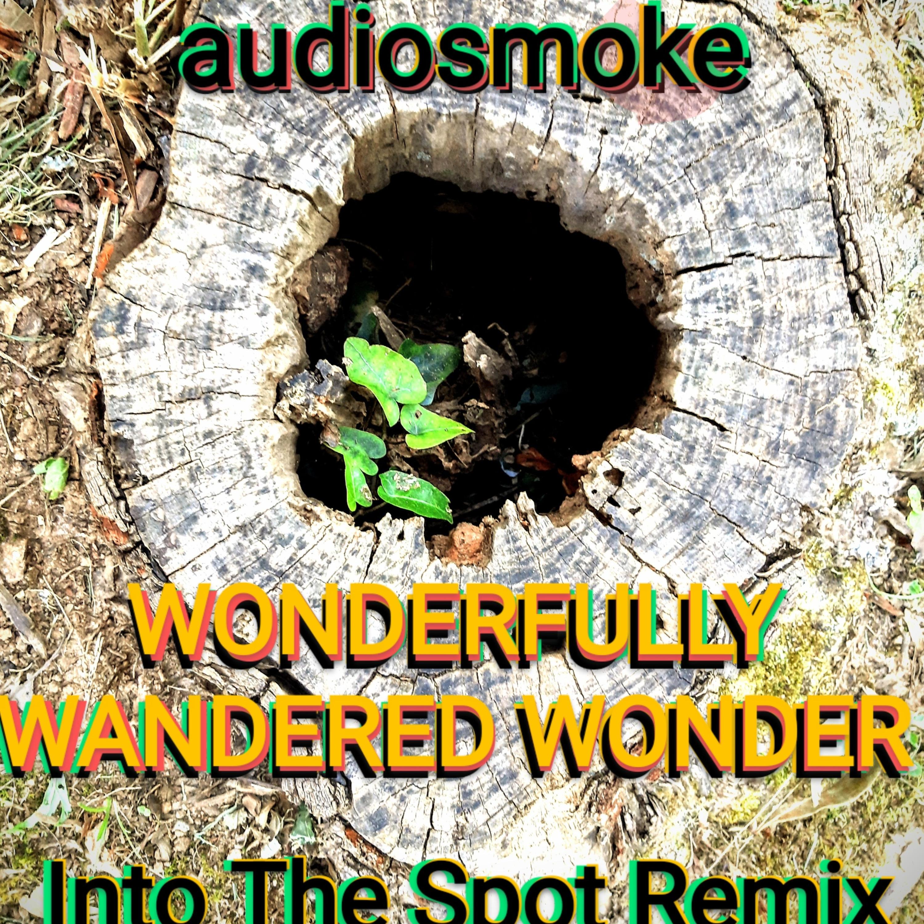 Wonderfully Wandered Wonder  (Into the Spot Remix) artwork