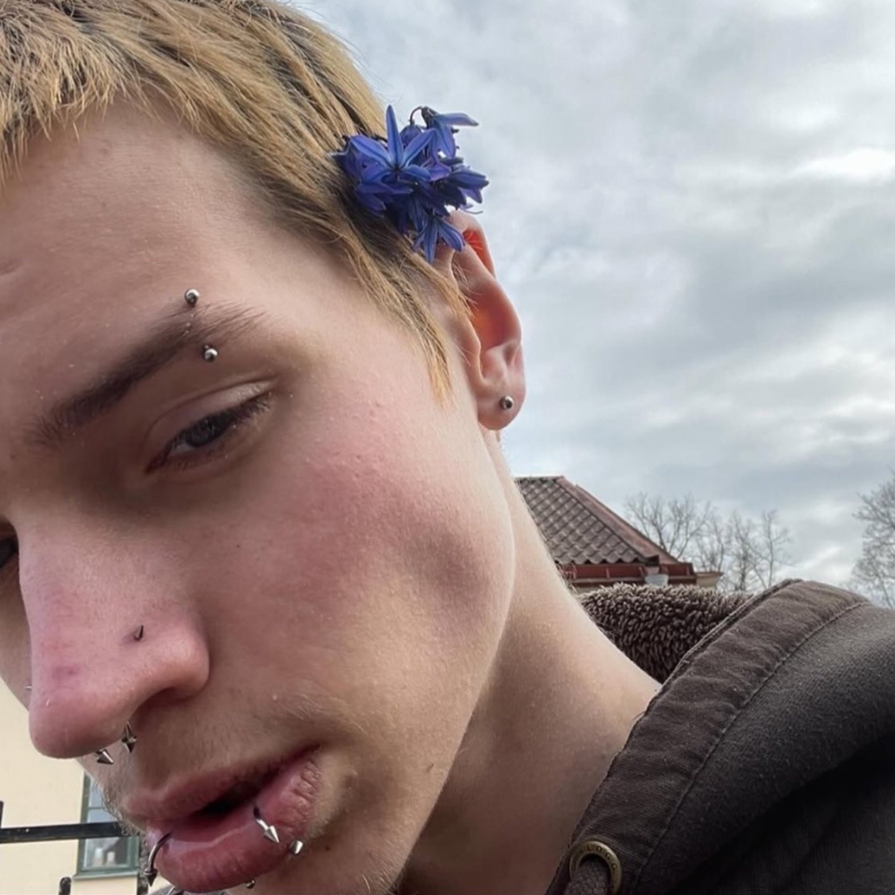 i hate humans dont stare at me in public artwork