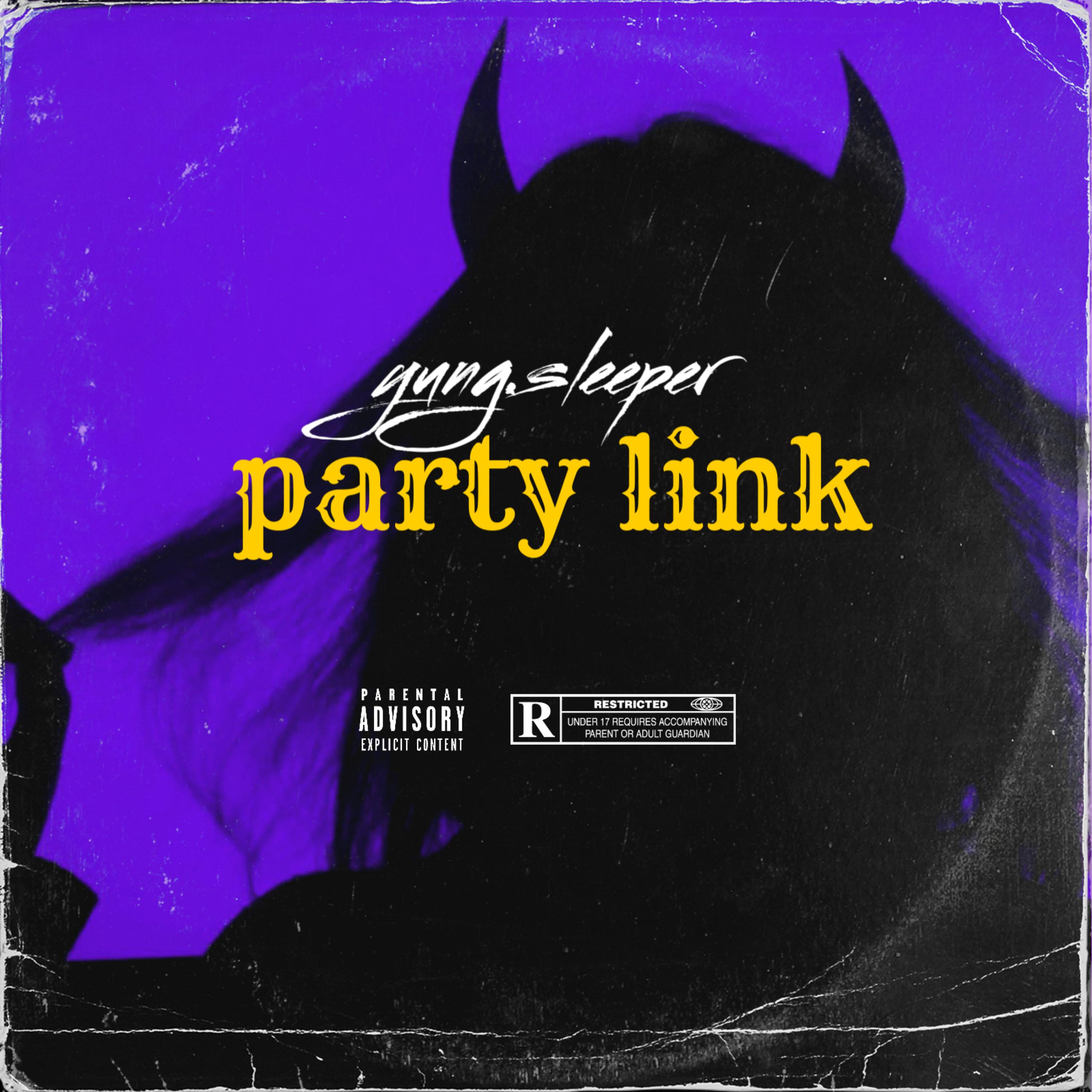 Party Link artwork