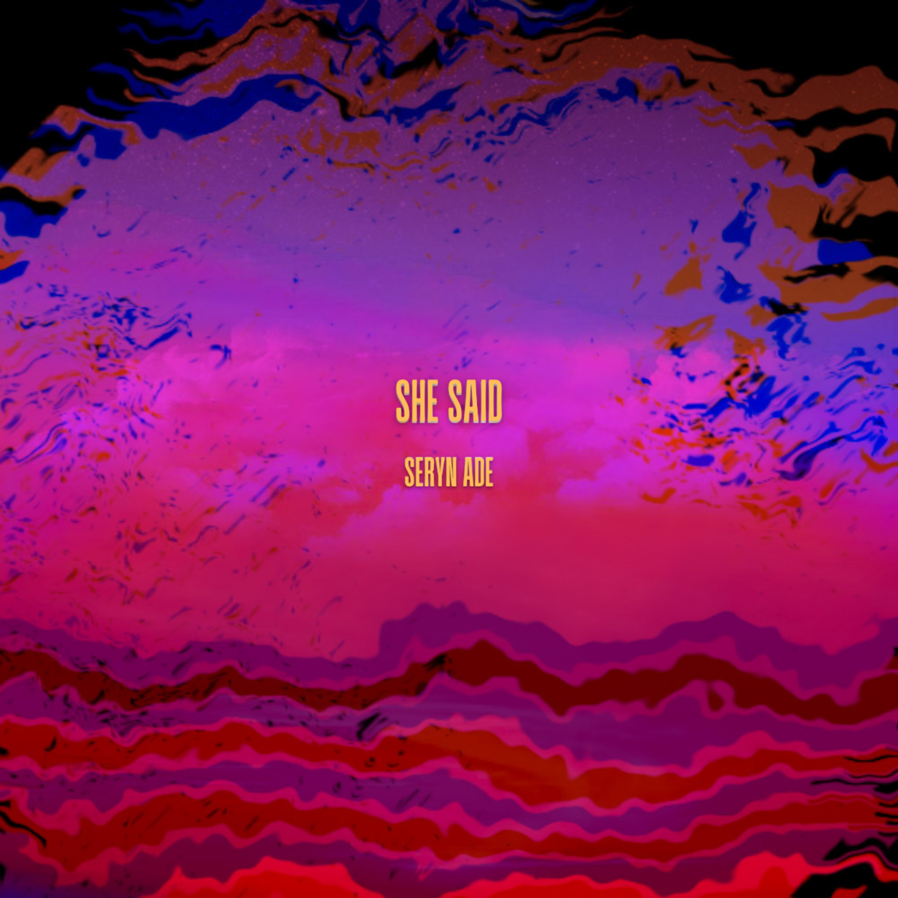 She Said (When the sun goes down) artwork