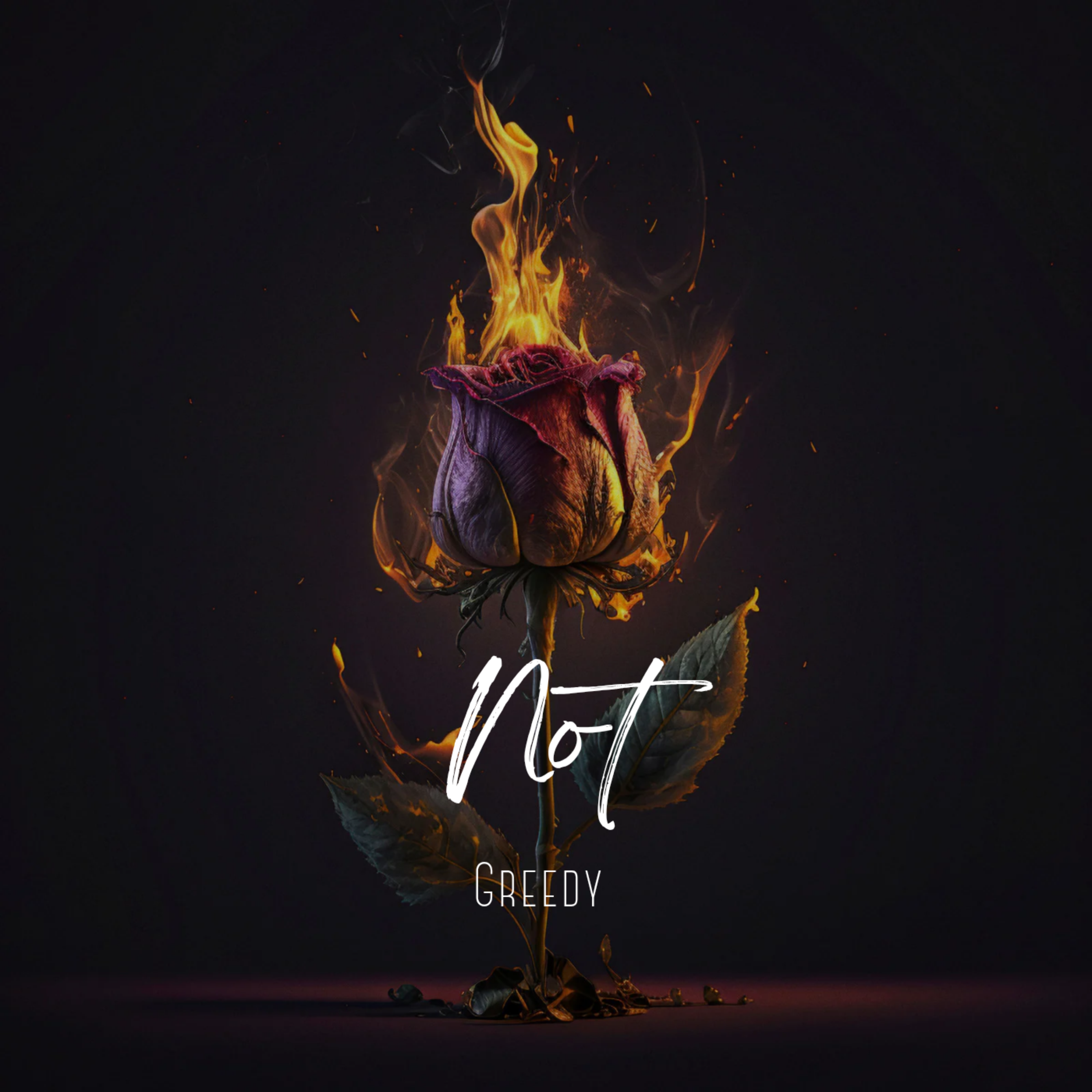 NOT GREEDY artwork