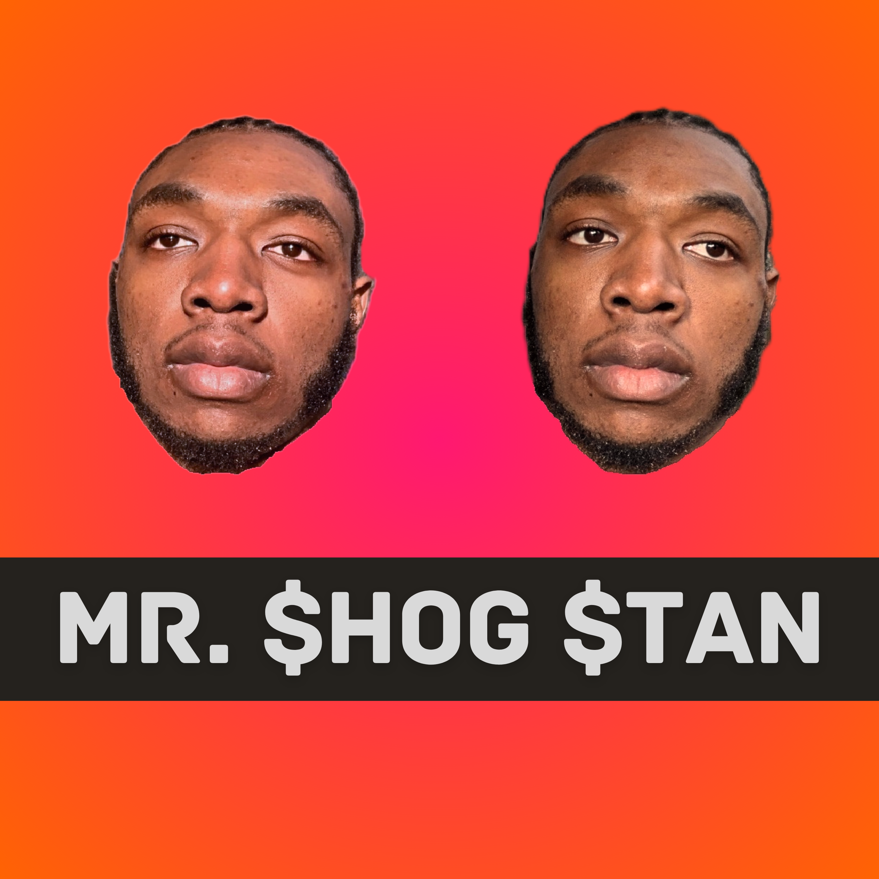 Mr.ShogStan artwork