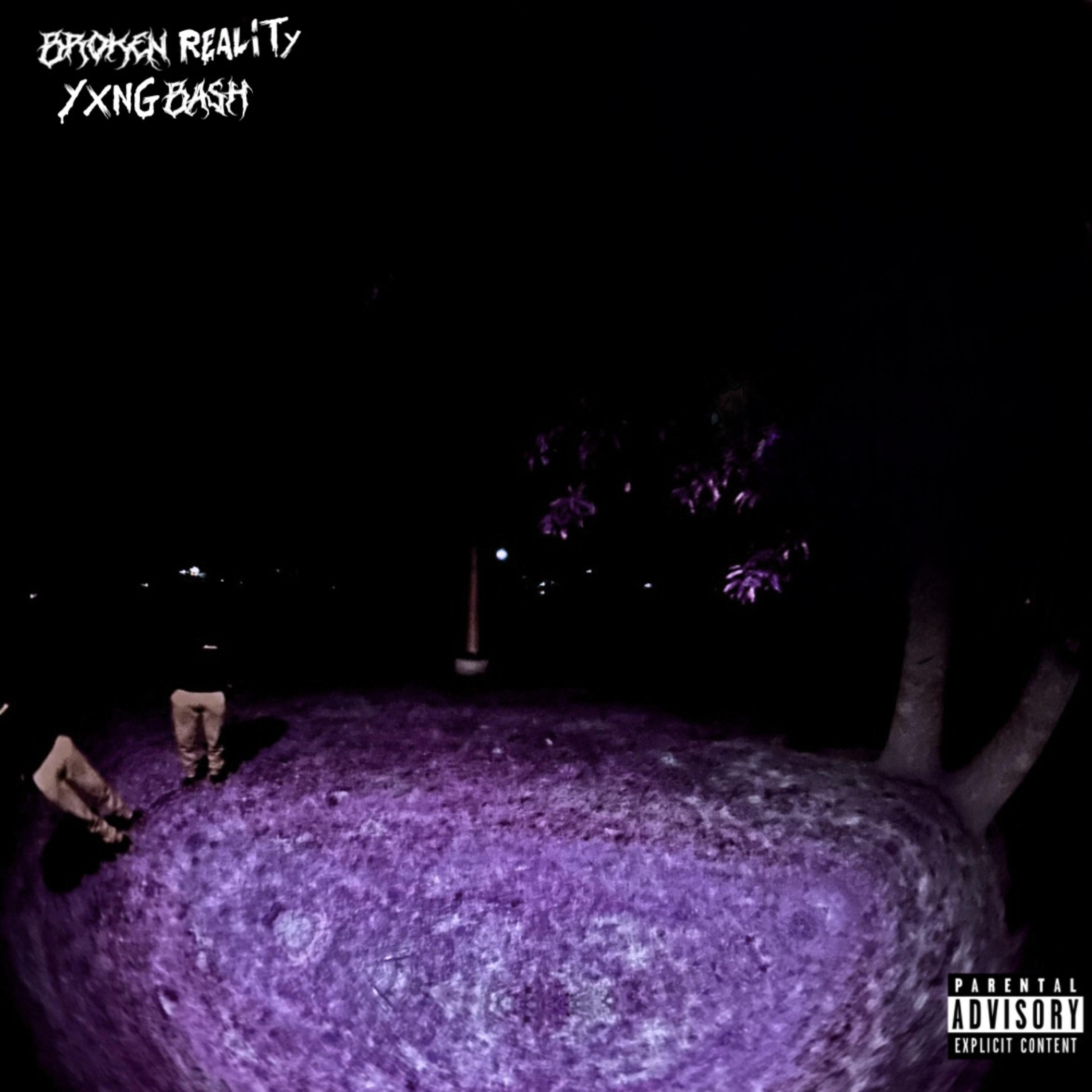 Broken Reality artwork