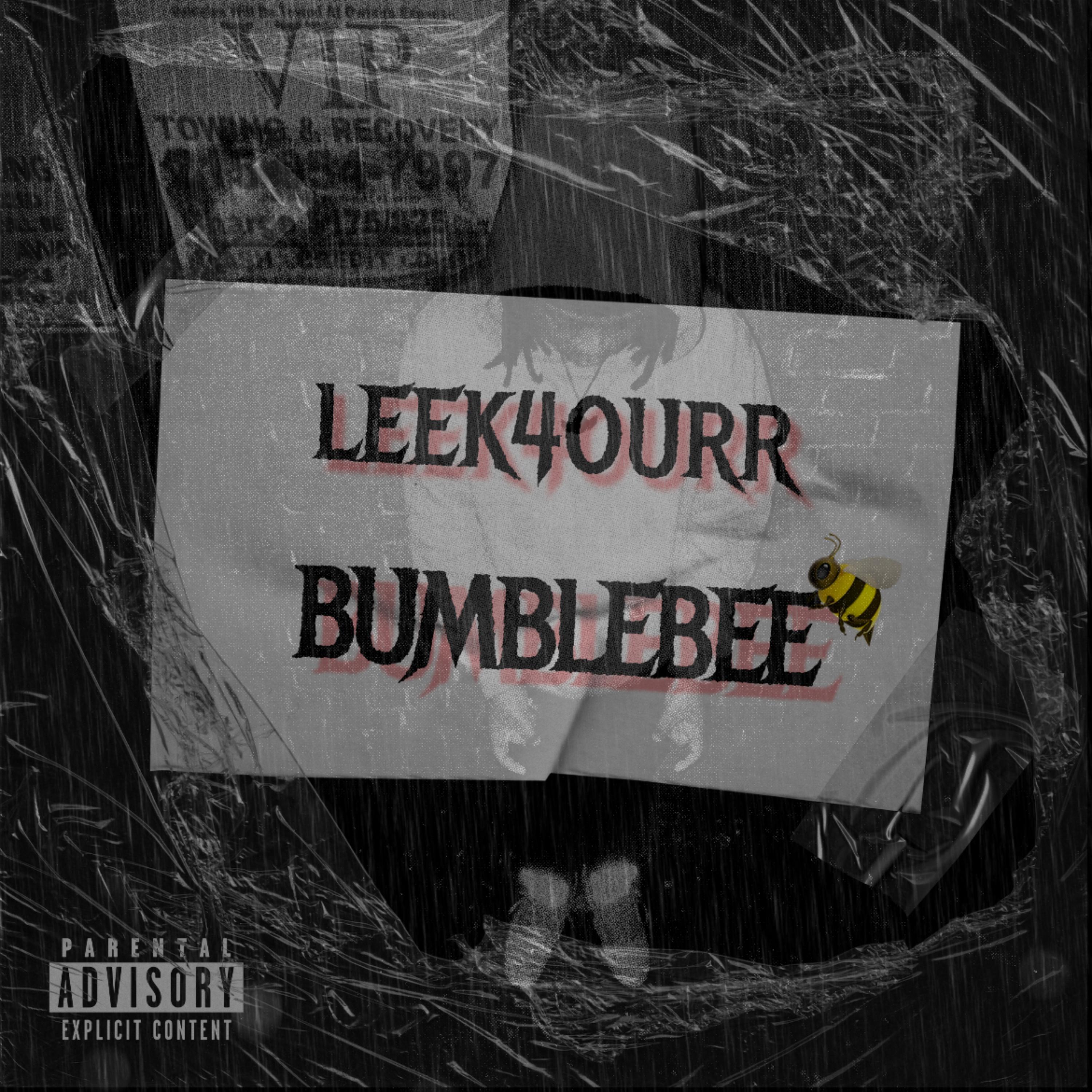 BUMBLEBEE artwork